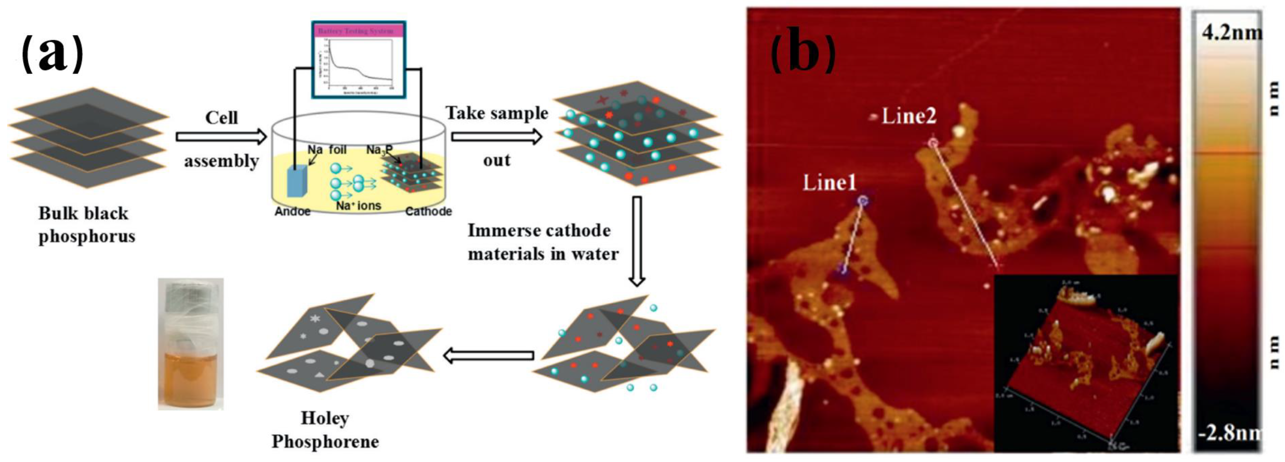 Nanomaterials 14 00892 g008