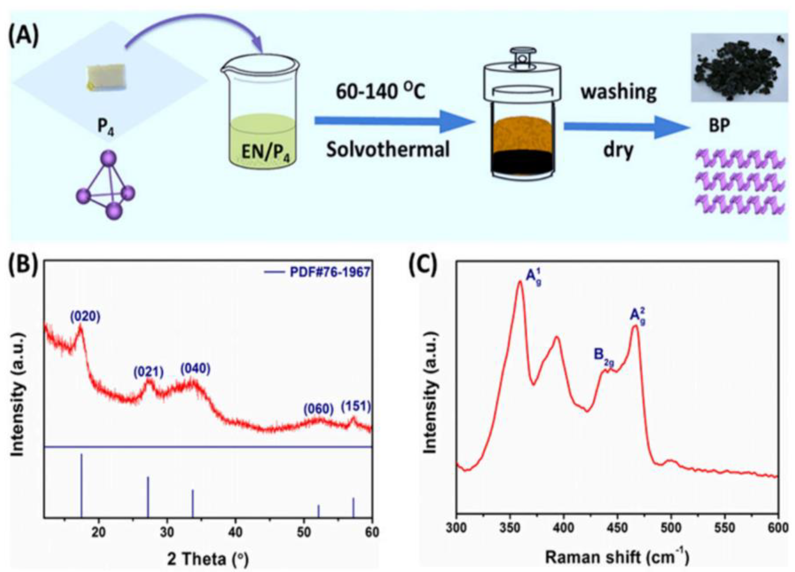 Nanomaterials 14 00892 g009