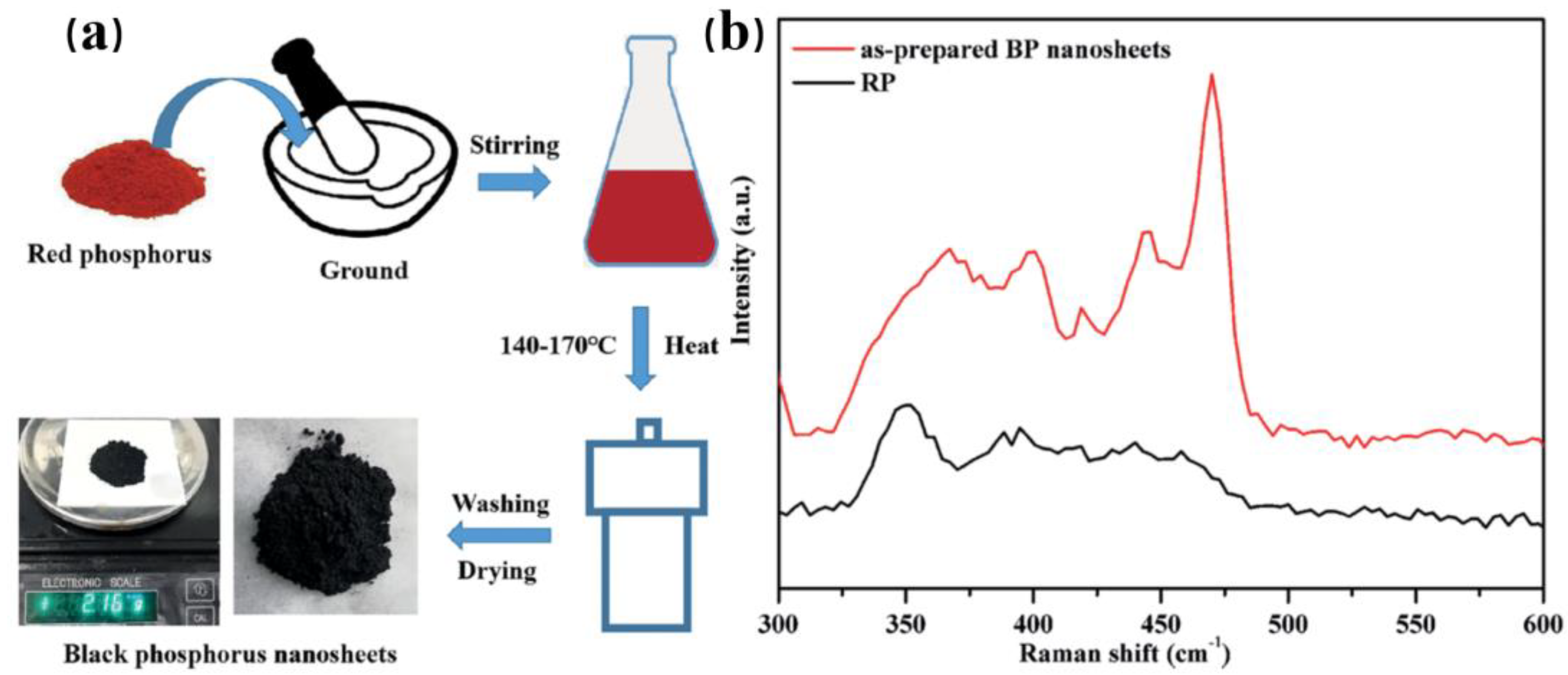 Nanomaterials 14 00892 g010