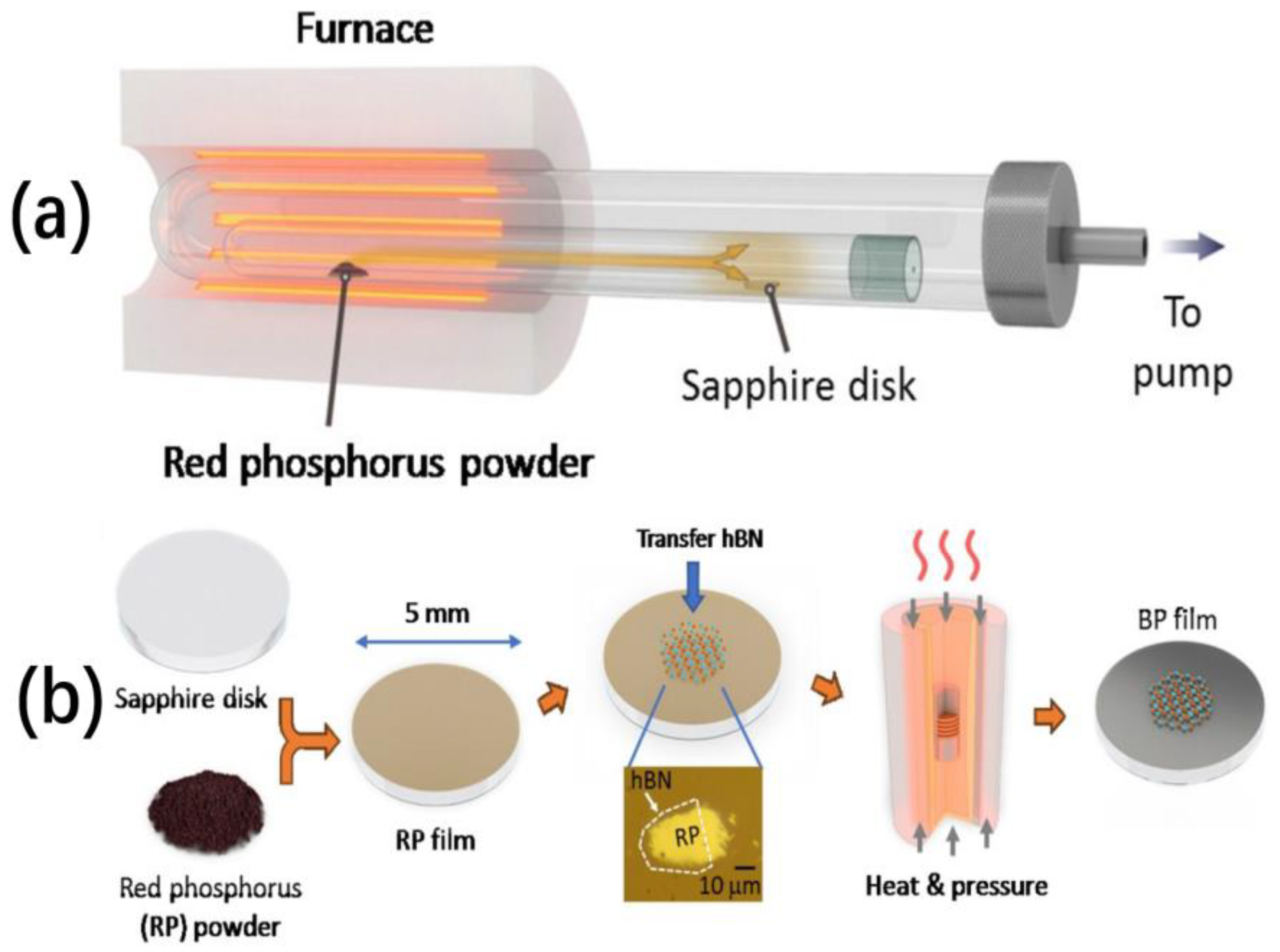 Nanomaterials 14 00892 g011