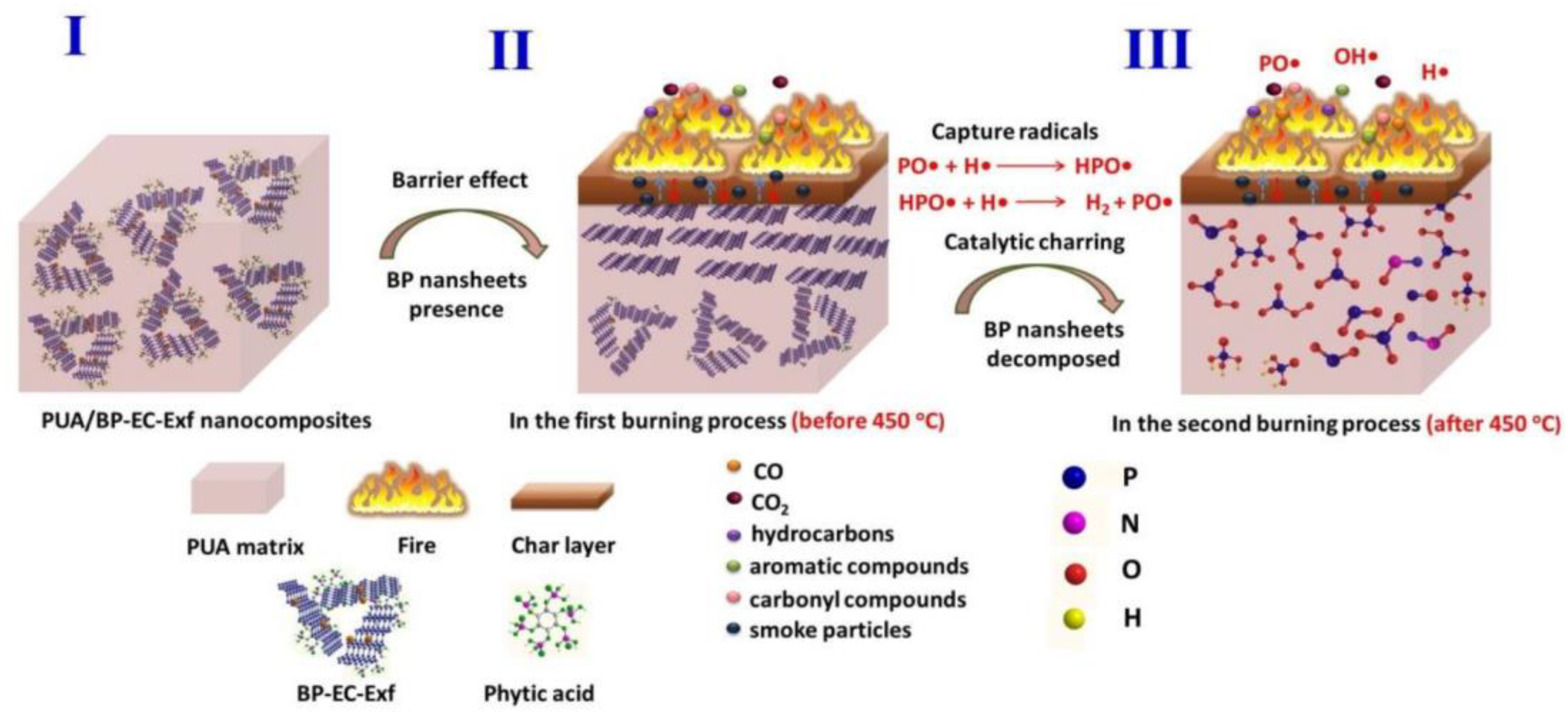Nanomaterials 14 00892 g012