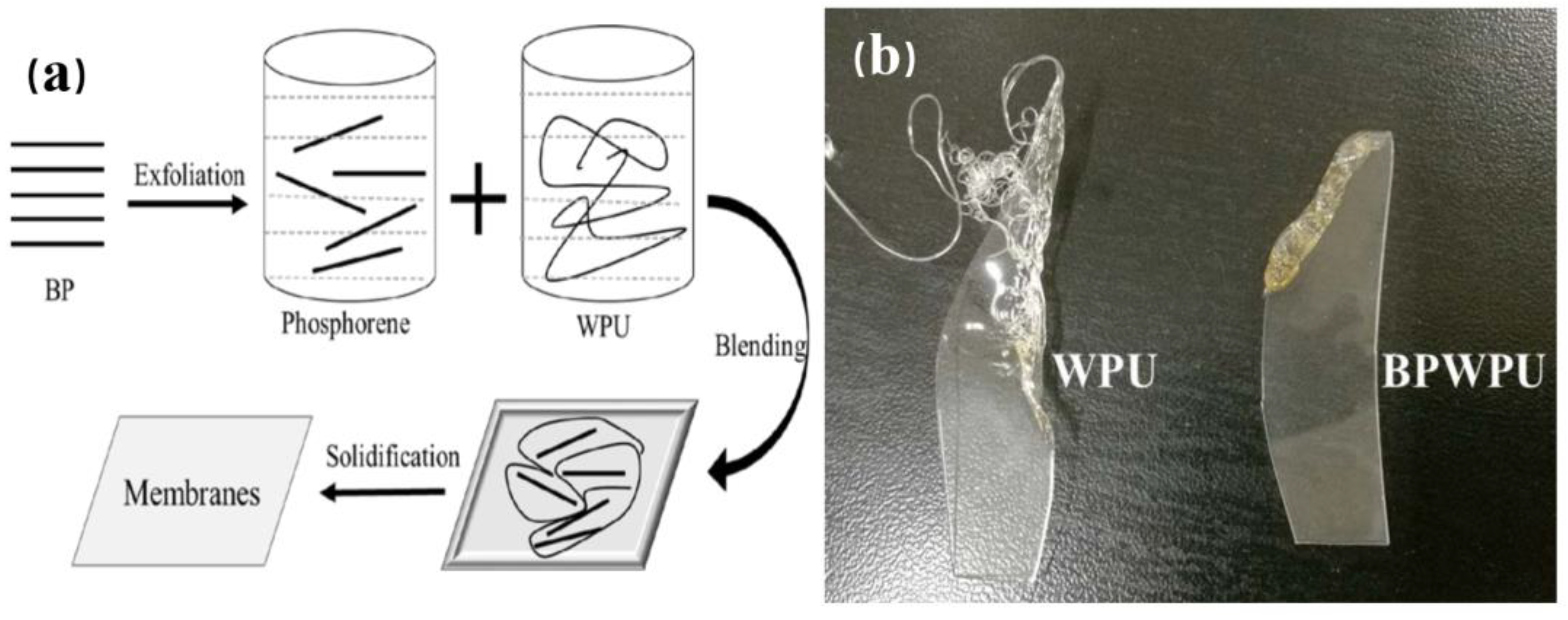 Nanomaterials 14 00892 g014