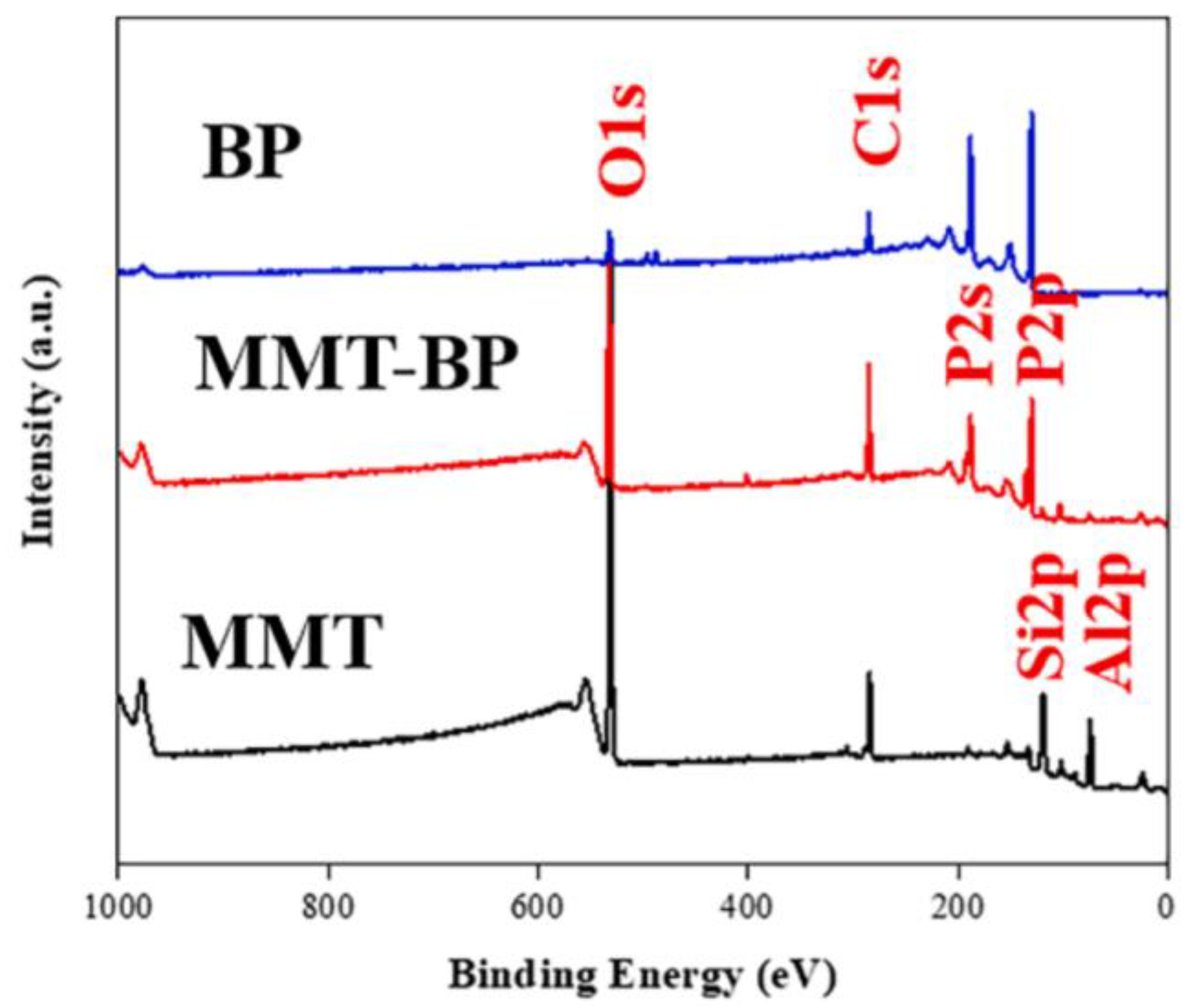 Nanomaterials 14 00892 g015