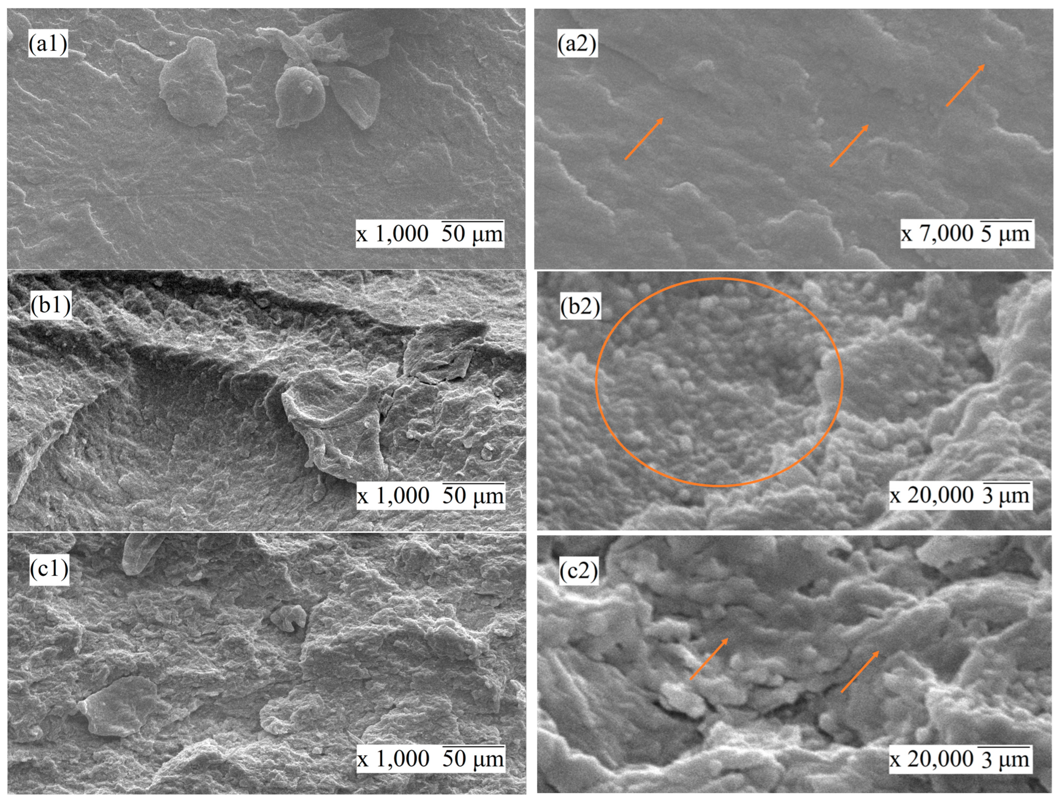 Nanomaterials 14 00901 g005a