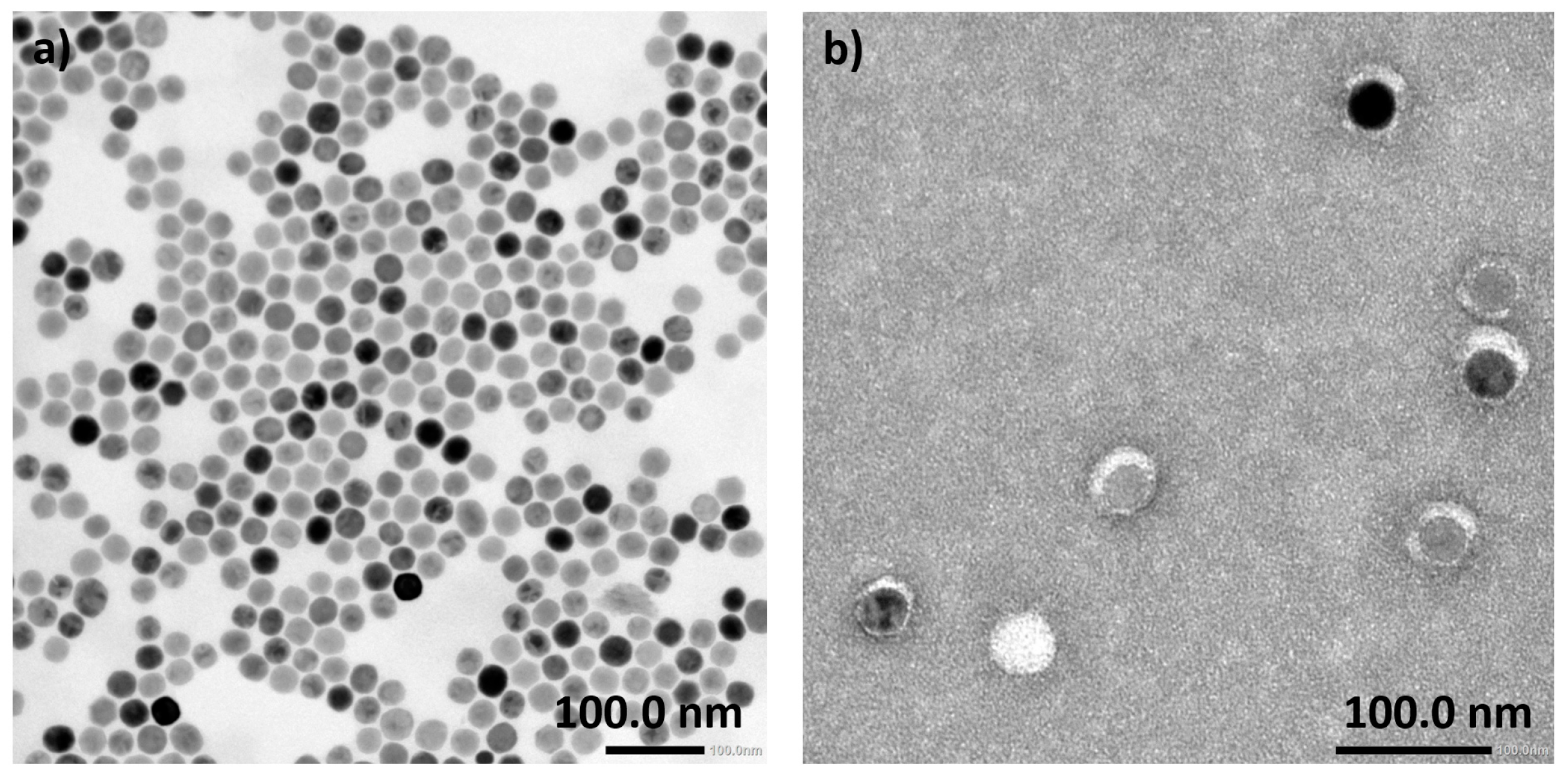 Nanomaterials 14 00906 g004
