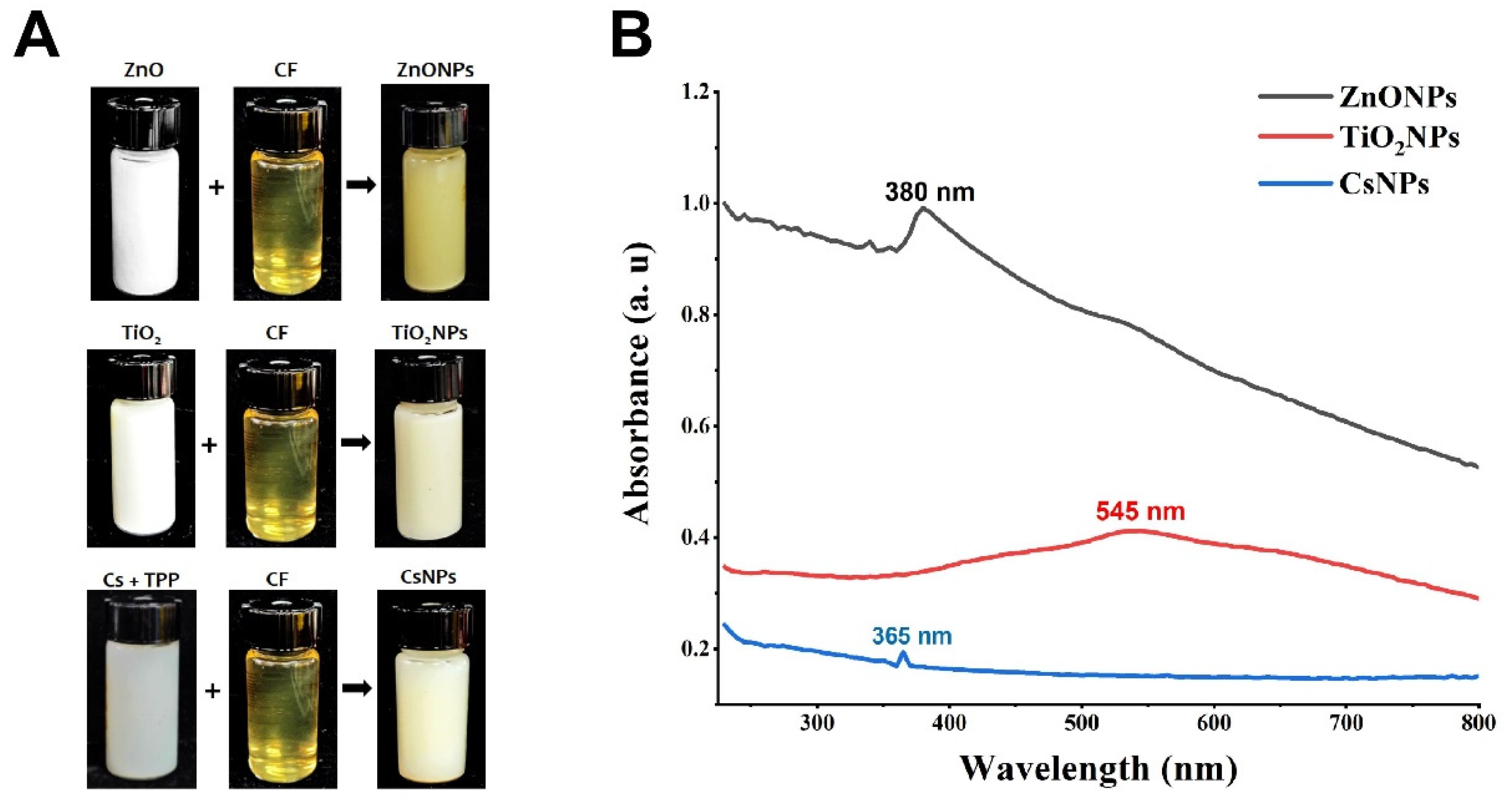 Nanomaterials 14 00927 g002