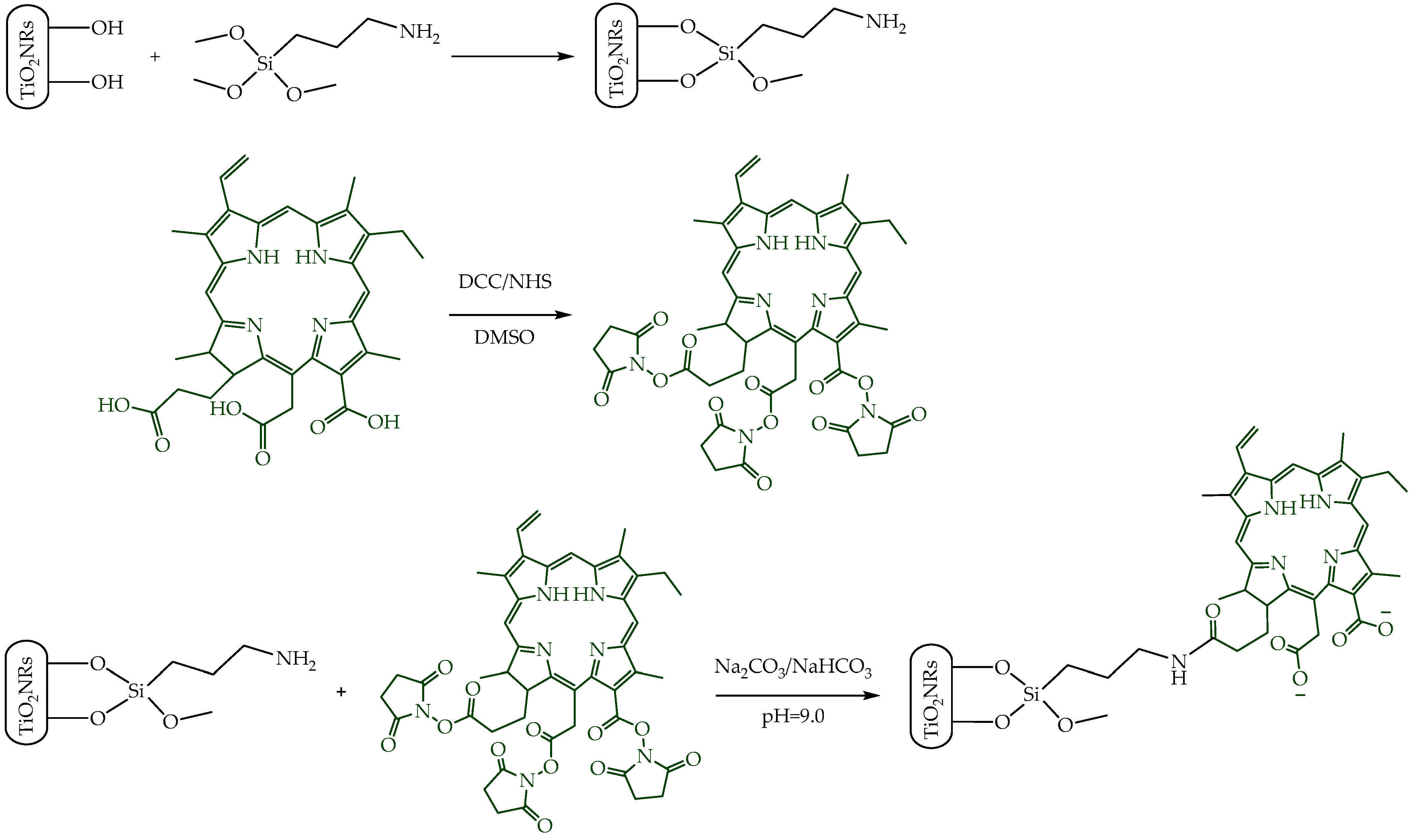 Nanomaterials 14 00933 g001