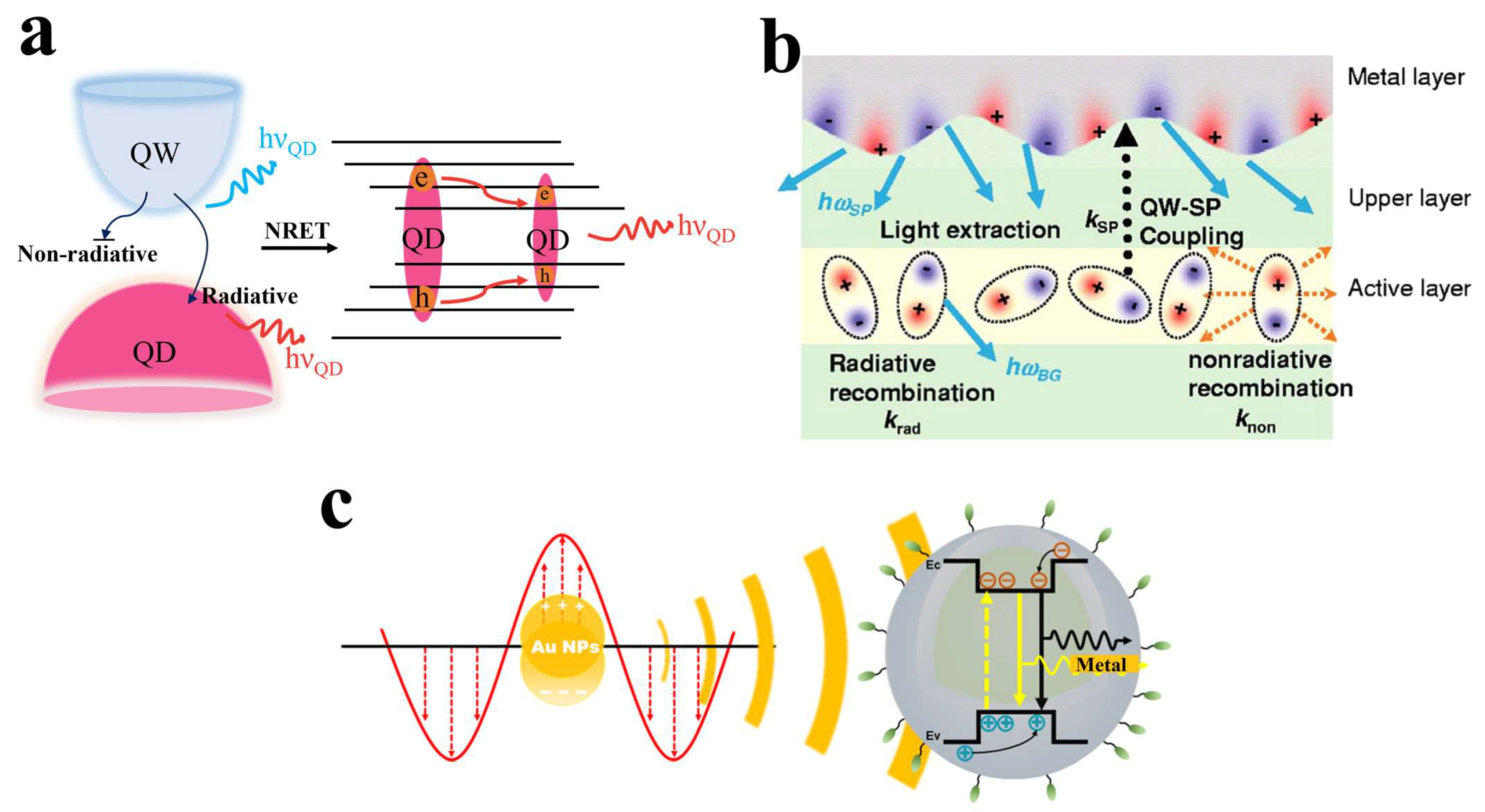 Nanomaterials 14 00940 g002
