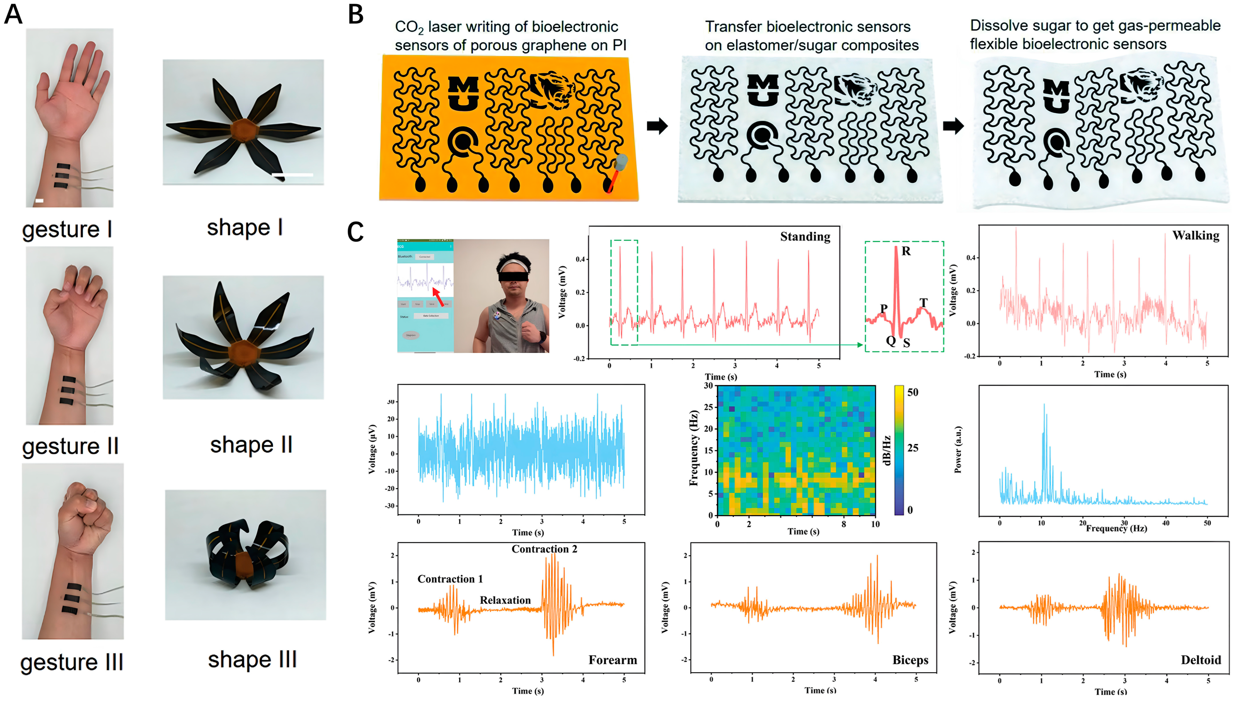 Nanomaterials 14 00942 g003