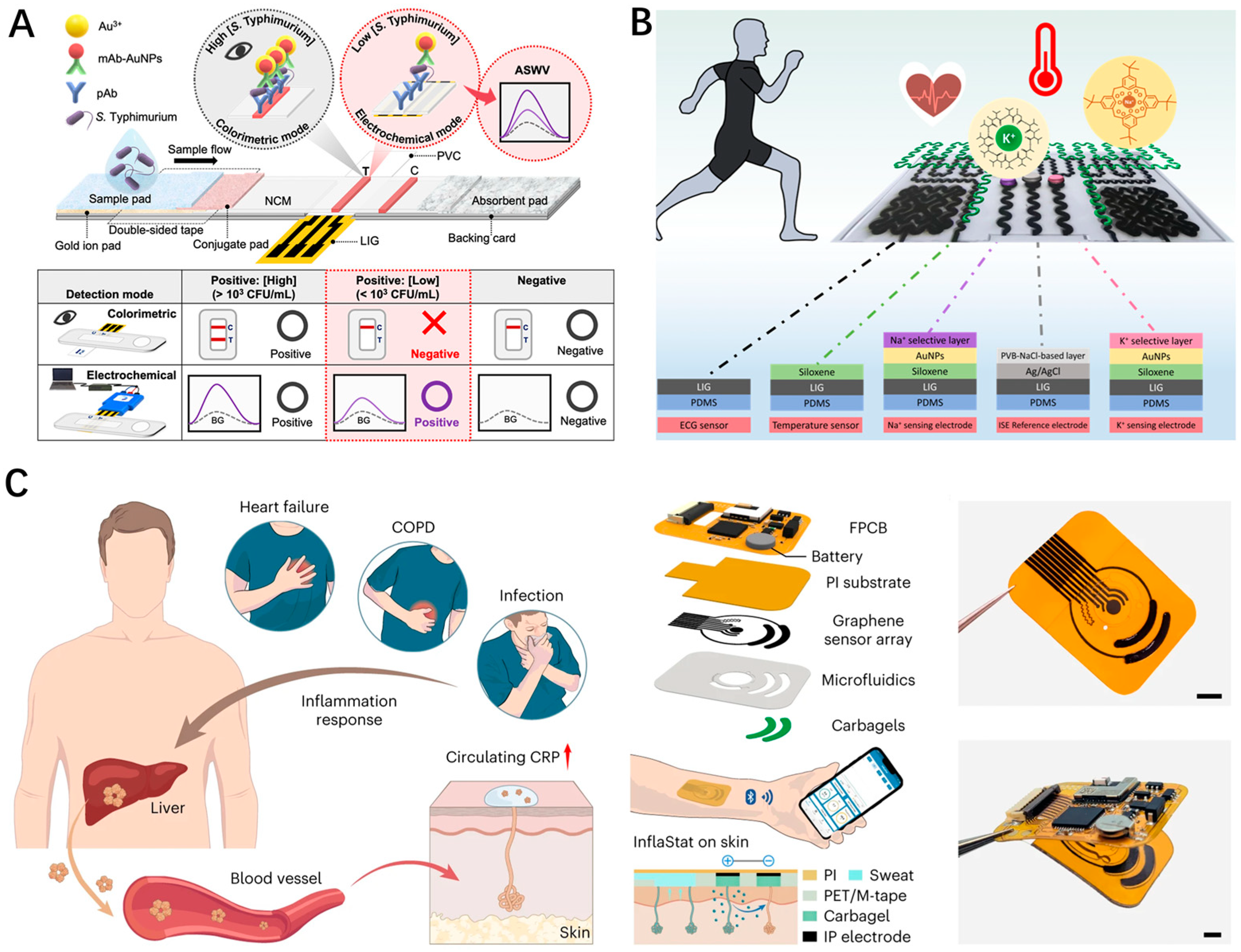 Nanomaterials 14 00942 g009