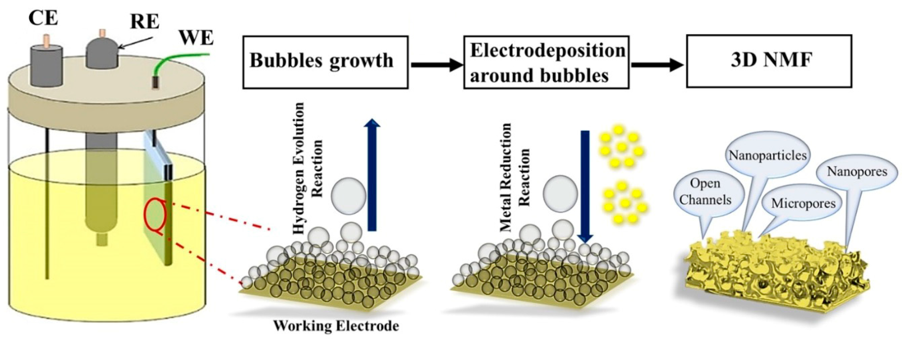 Nanomaterials 14 00946 sch001
