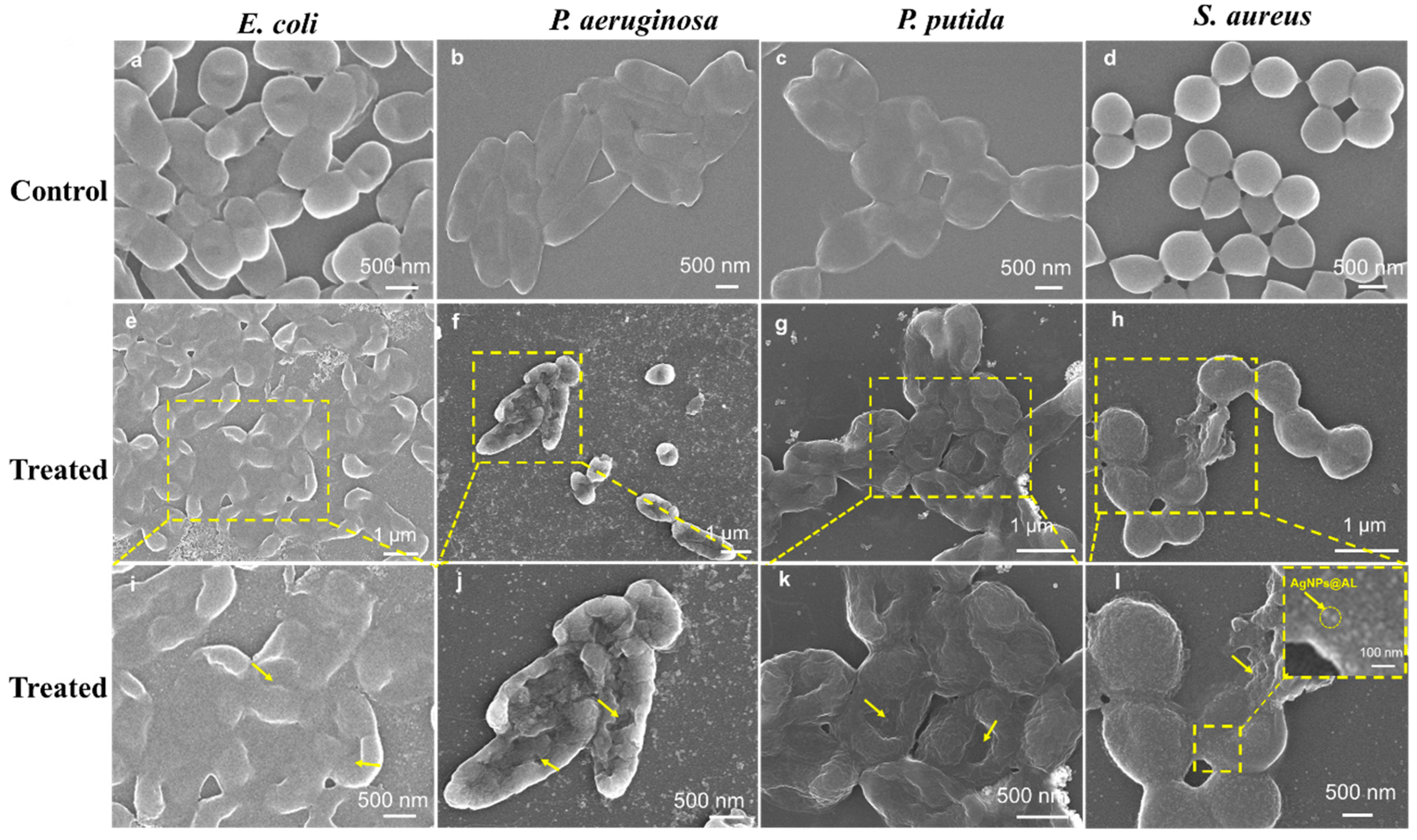 Nanomaterials 14 00957 g007