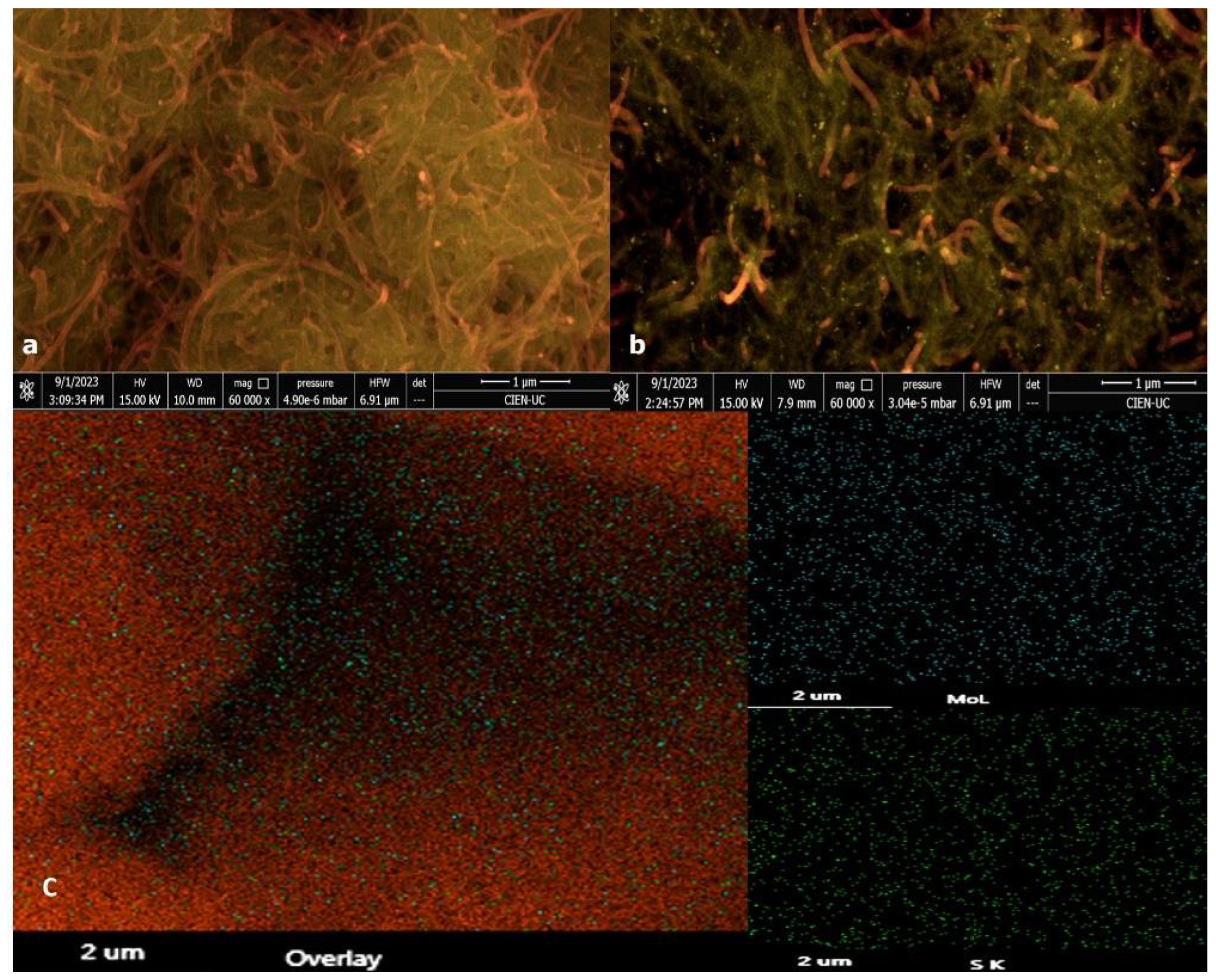 Nanomaterials 14 00958 g001