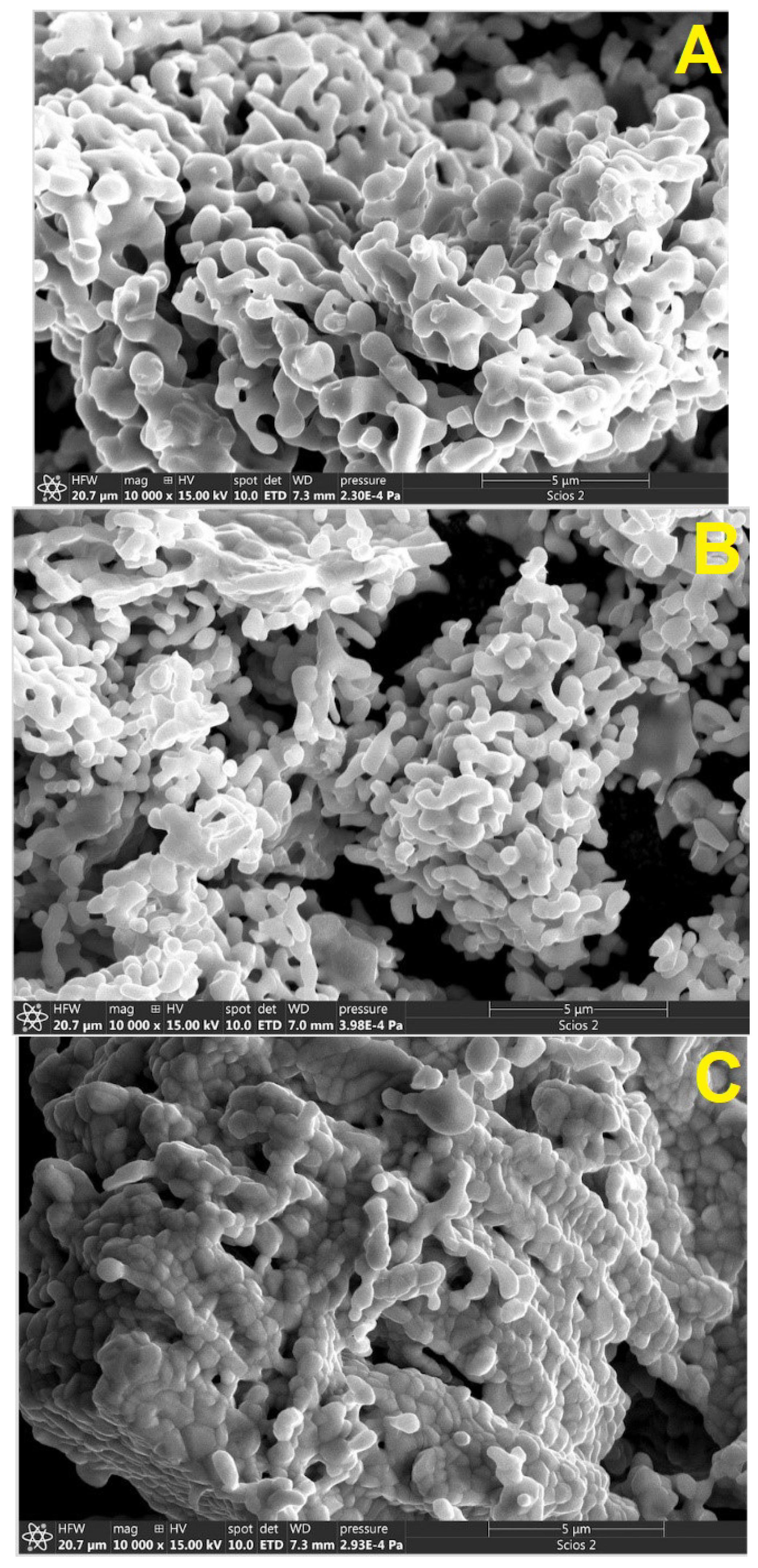Nanomaterials 14 00960 g001
