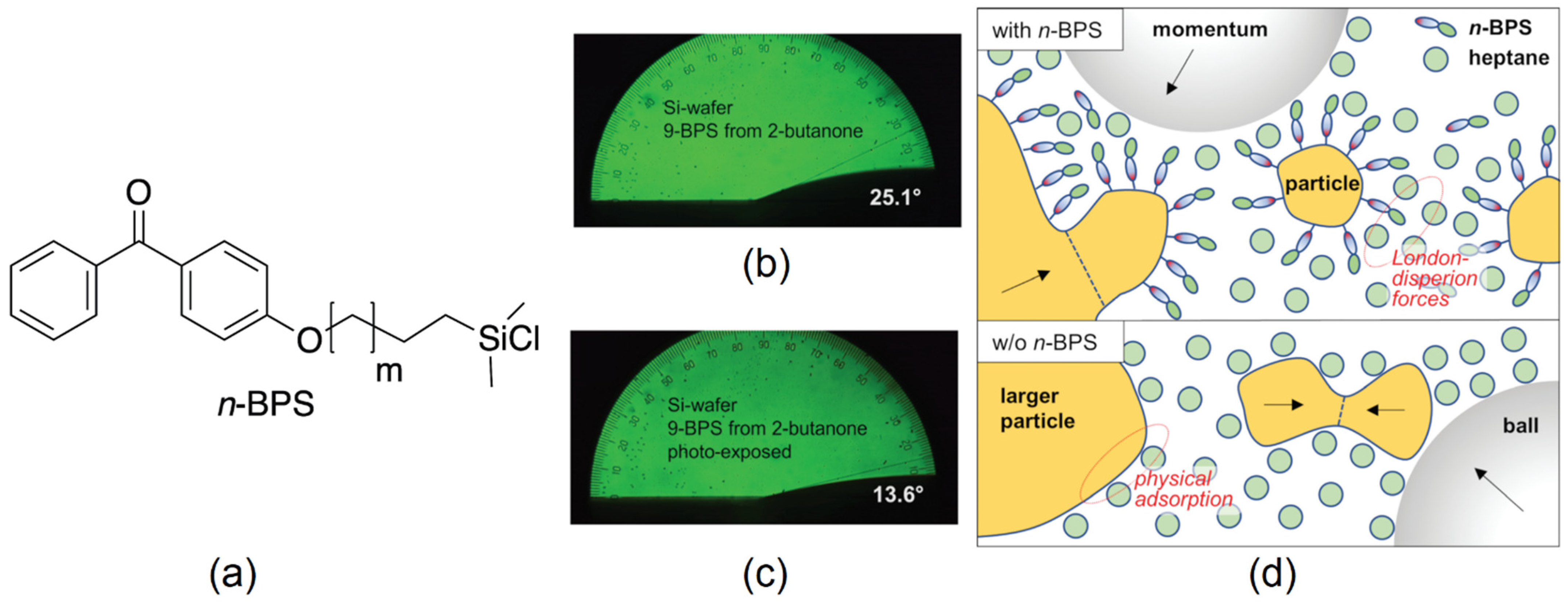 Nanomaterials 14 00961 g001