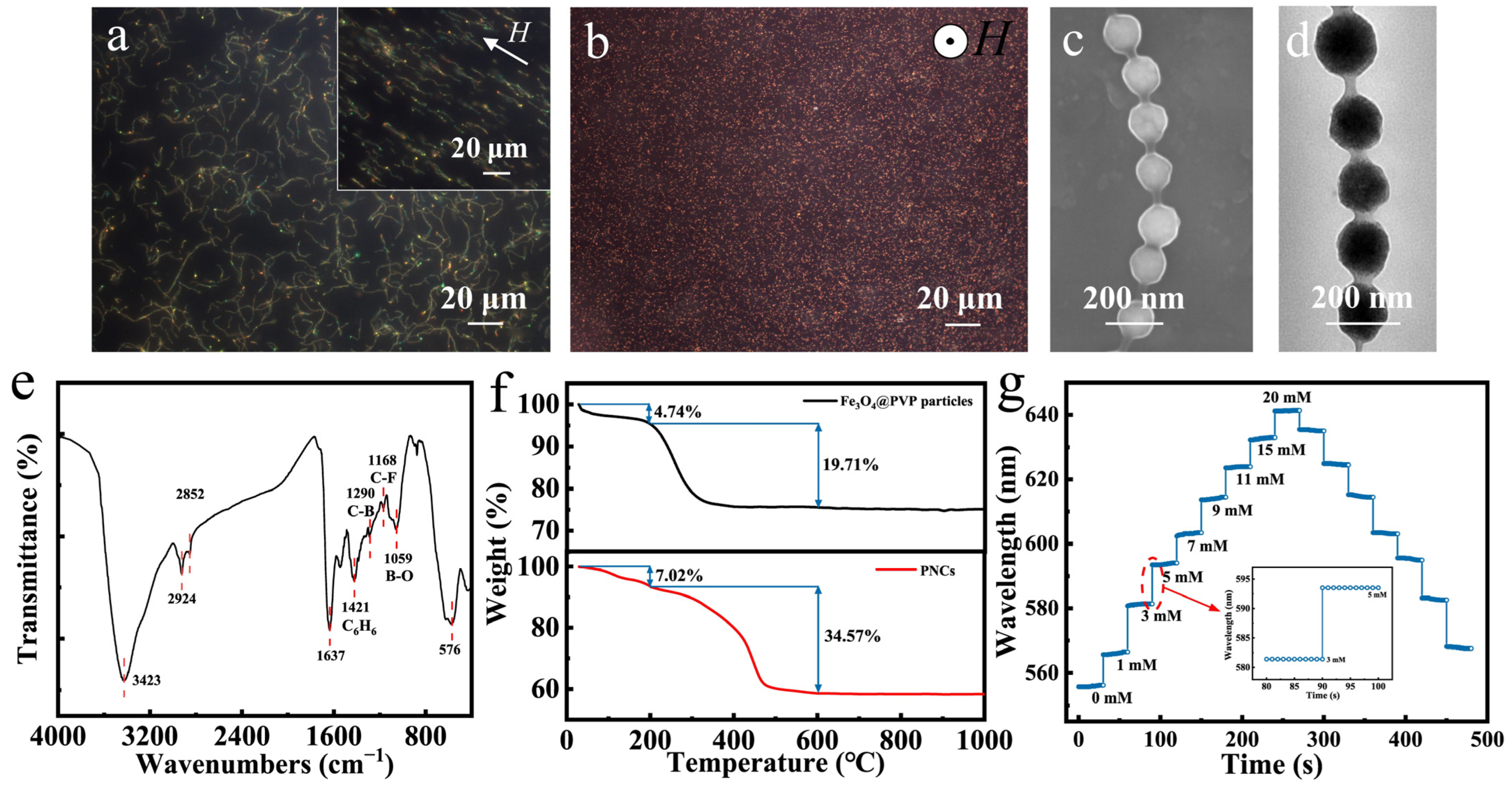 Nanomaterials 14 00964 g003