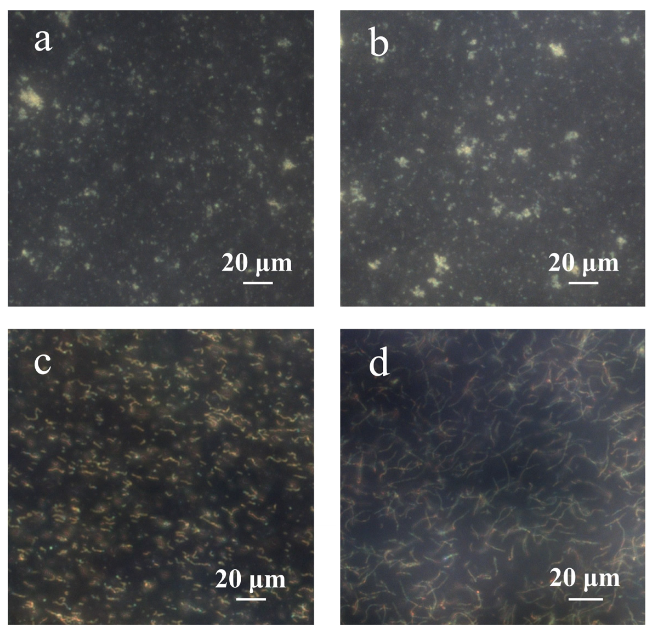 Nanomaterials 14 00964 g006