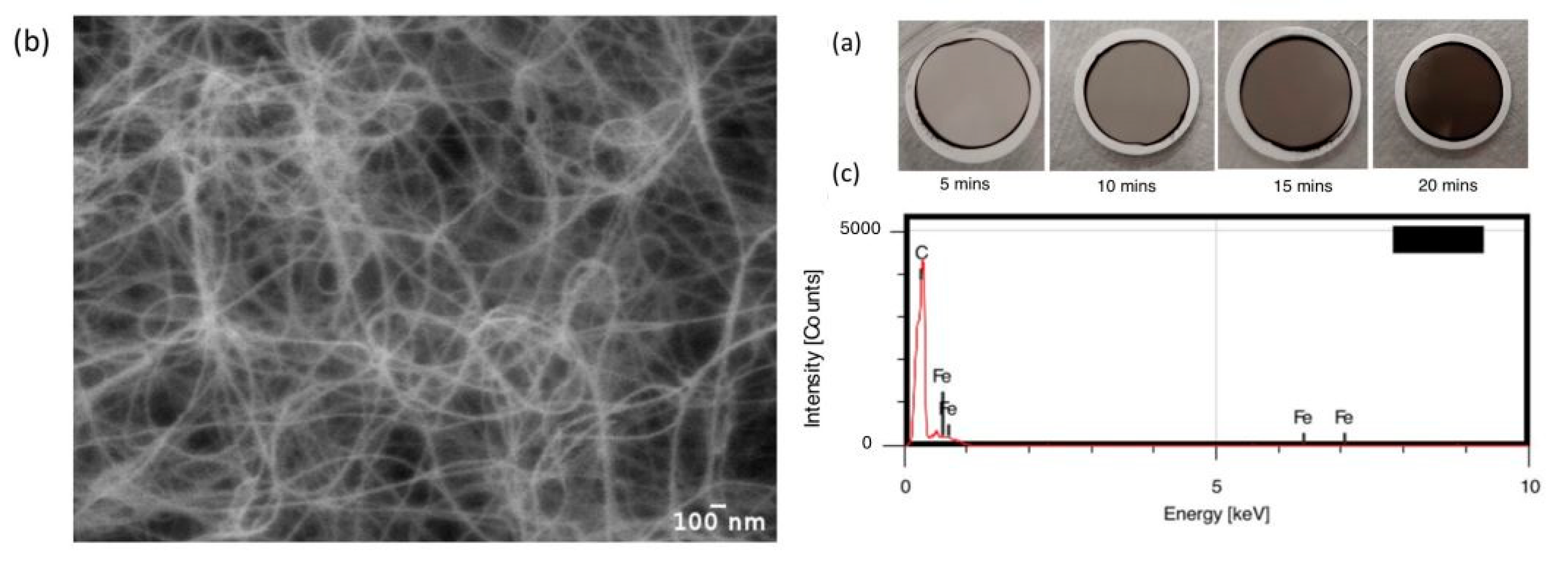 Nanomaterials 14 00965 g002
