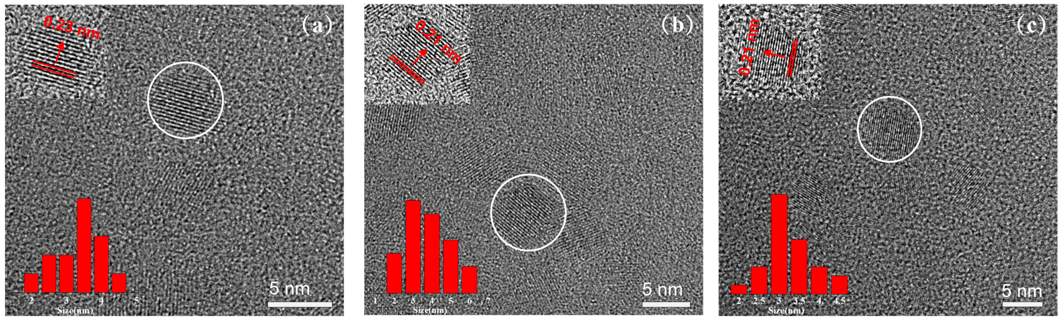 Nanomaterials 14 00970 g002