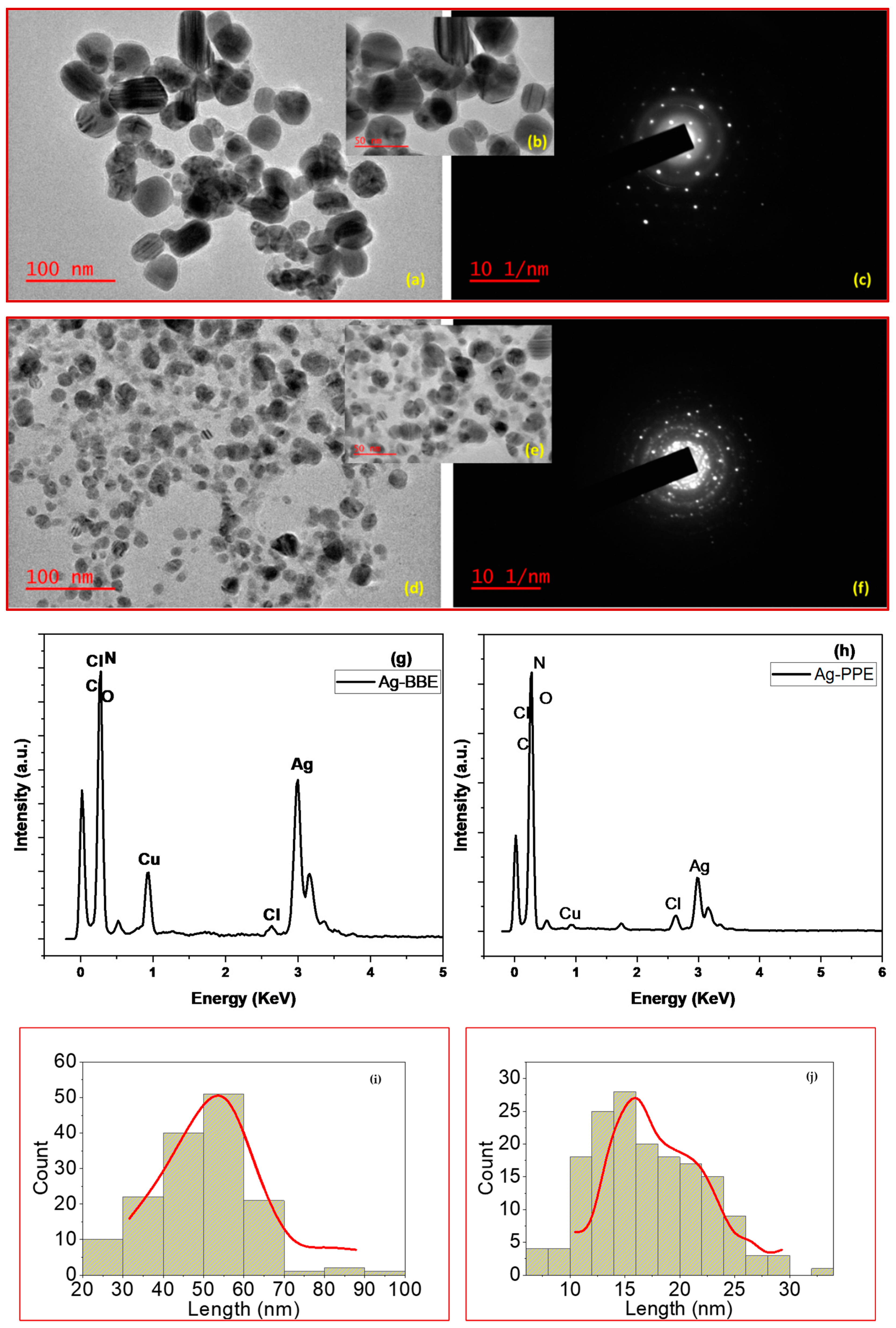 Nanomaterials 14 00974 g005