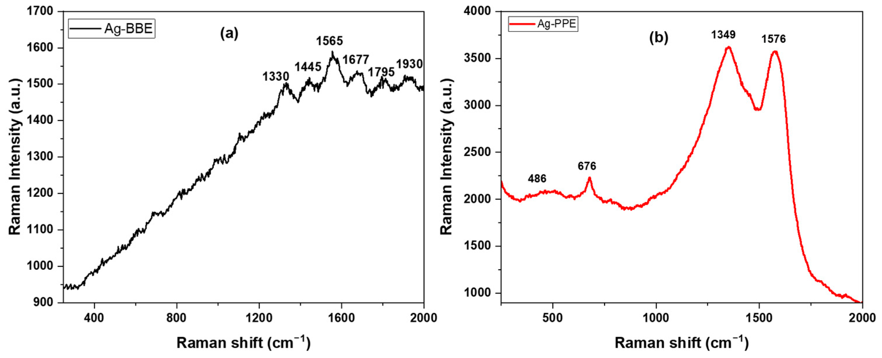 Nanomaterials 14 00974 g006
