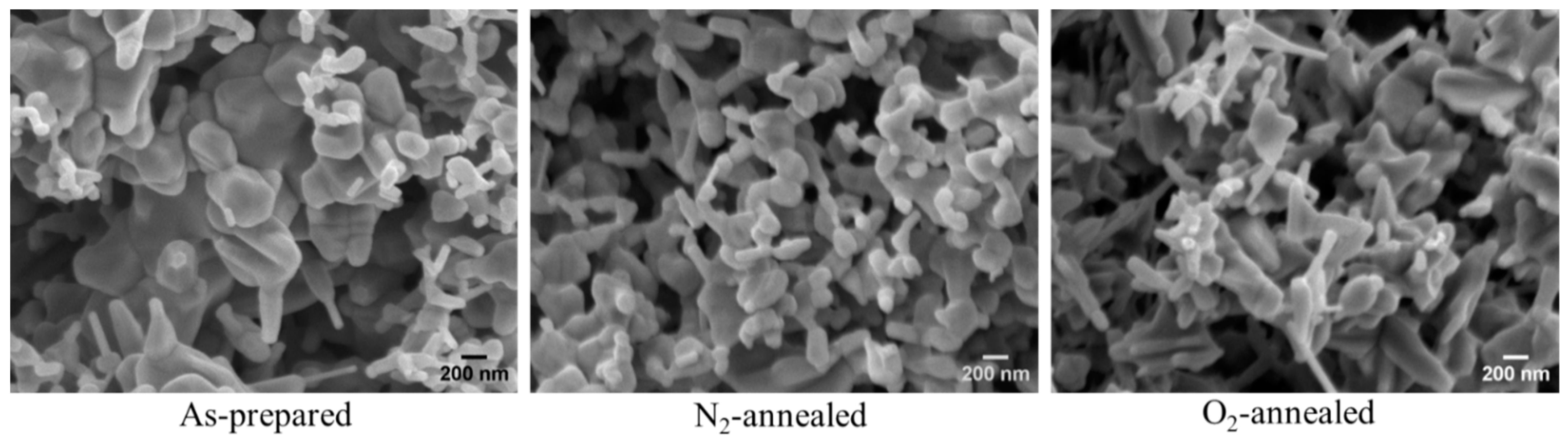 Nanomaterials 14 00977 g003