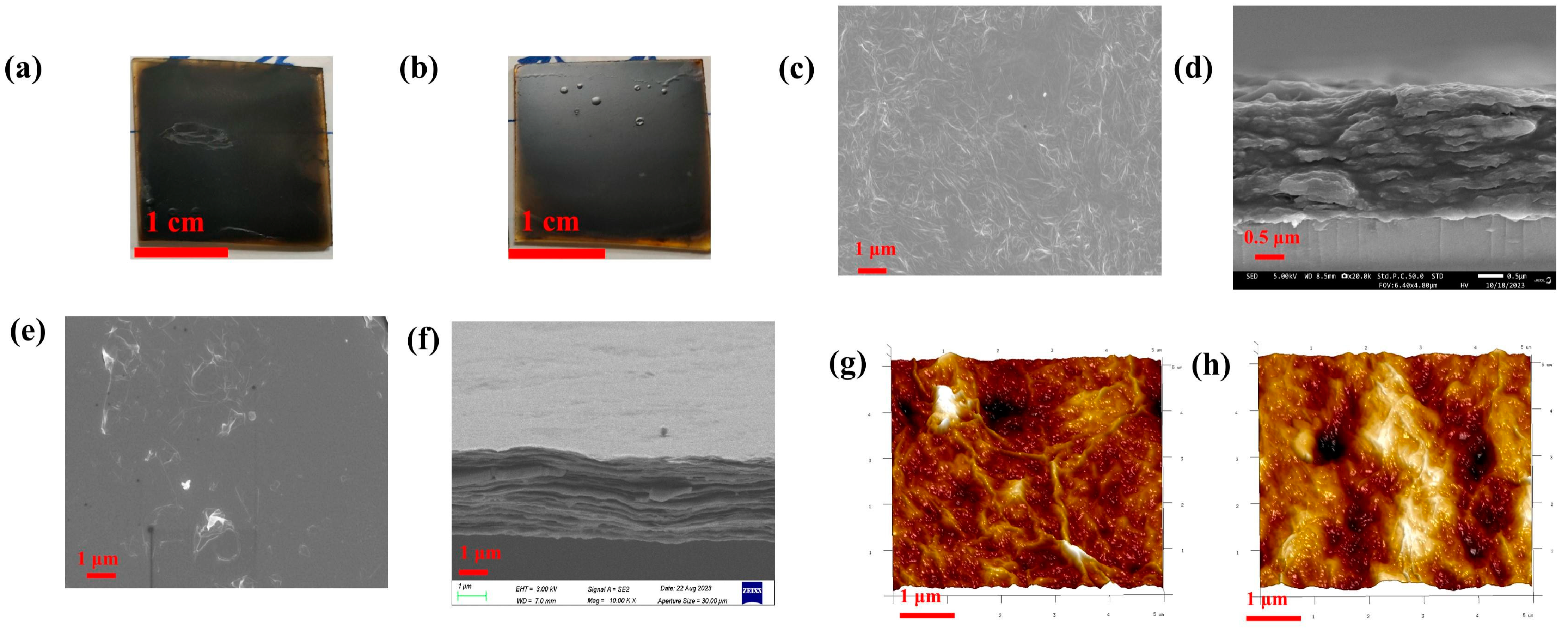 Nanomaterials 14 00980 g008