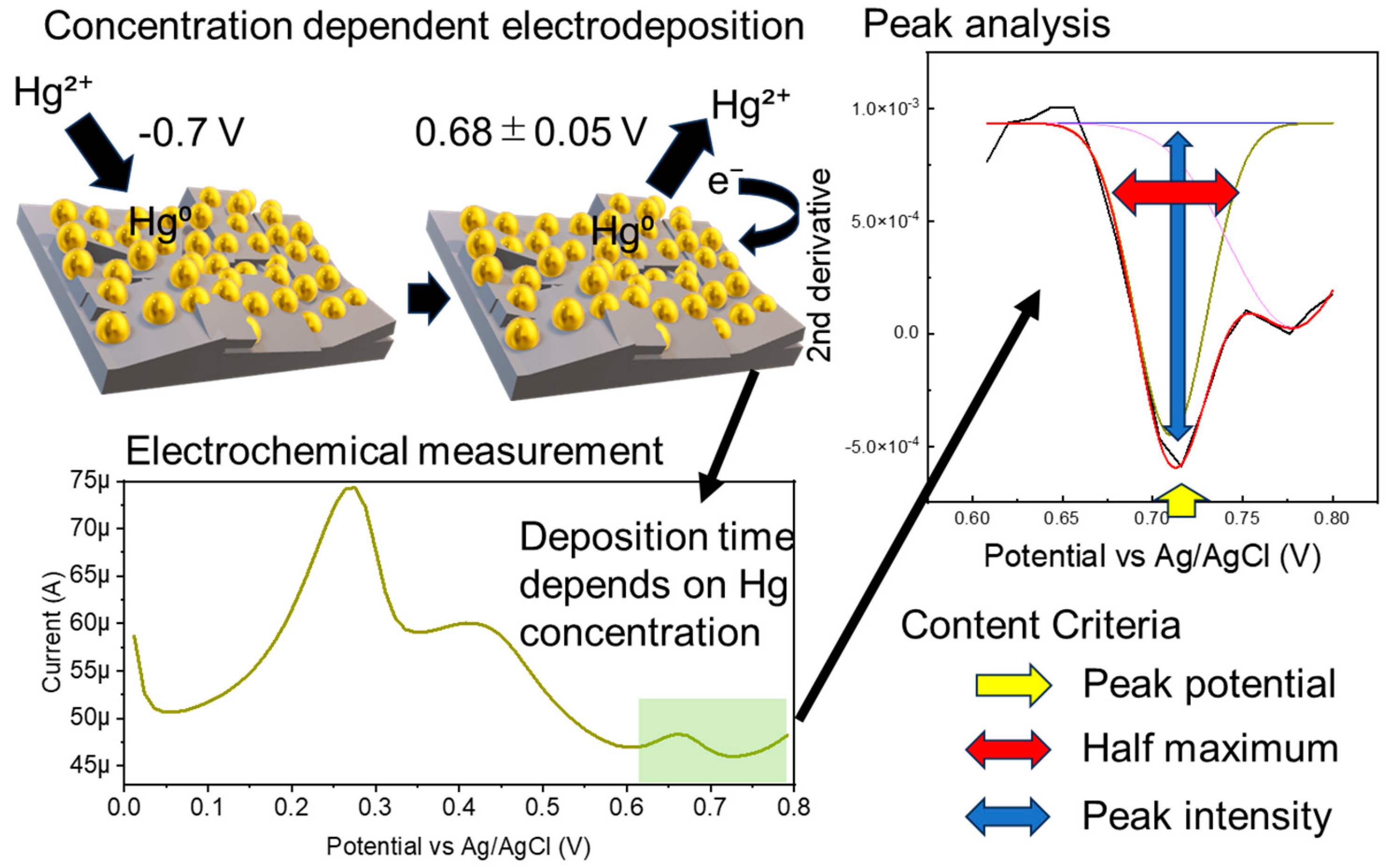 Nanomaterials 14 00981 g001