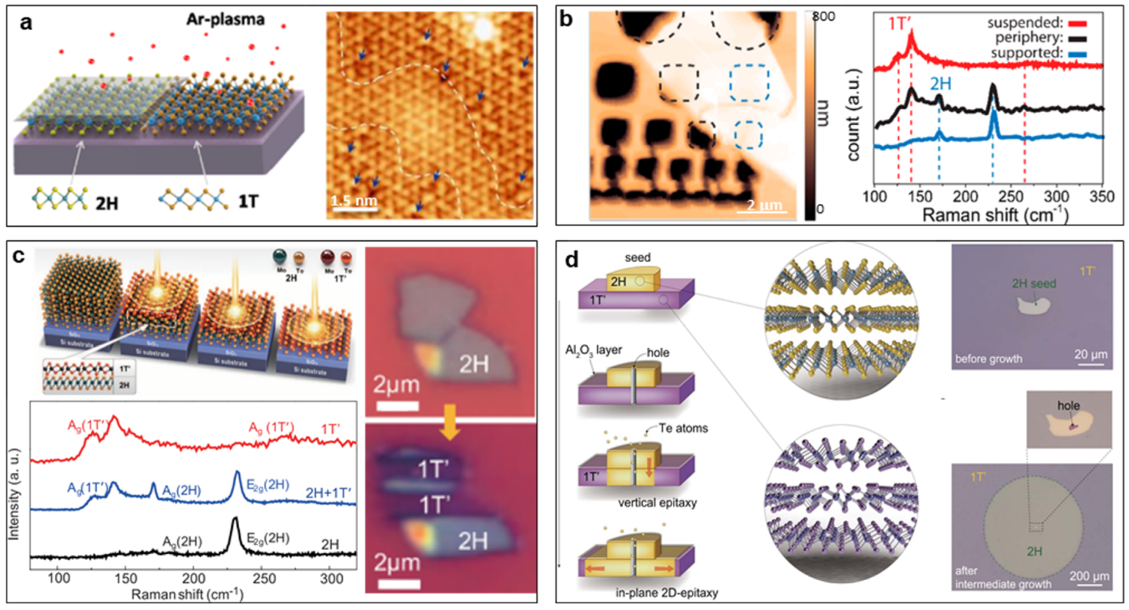 Nanomaterials 14 00984 g007