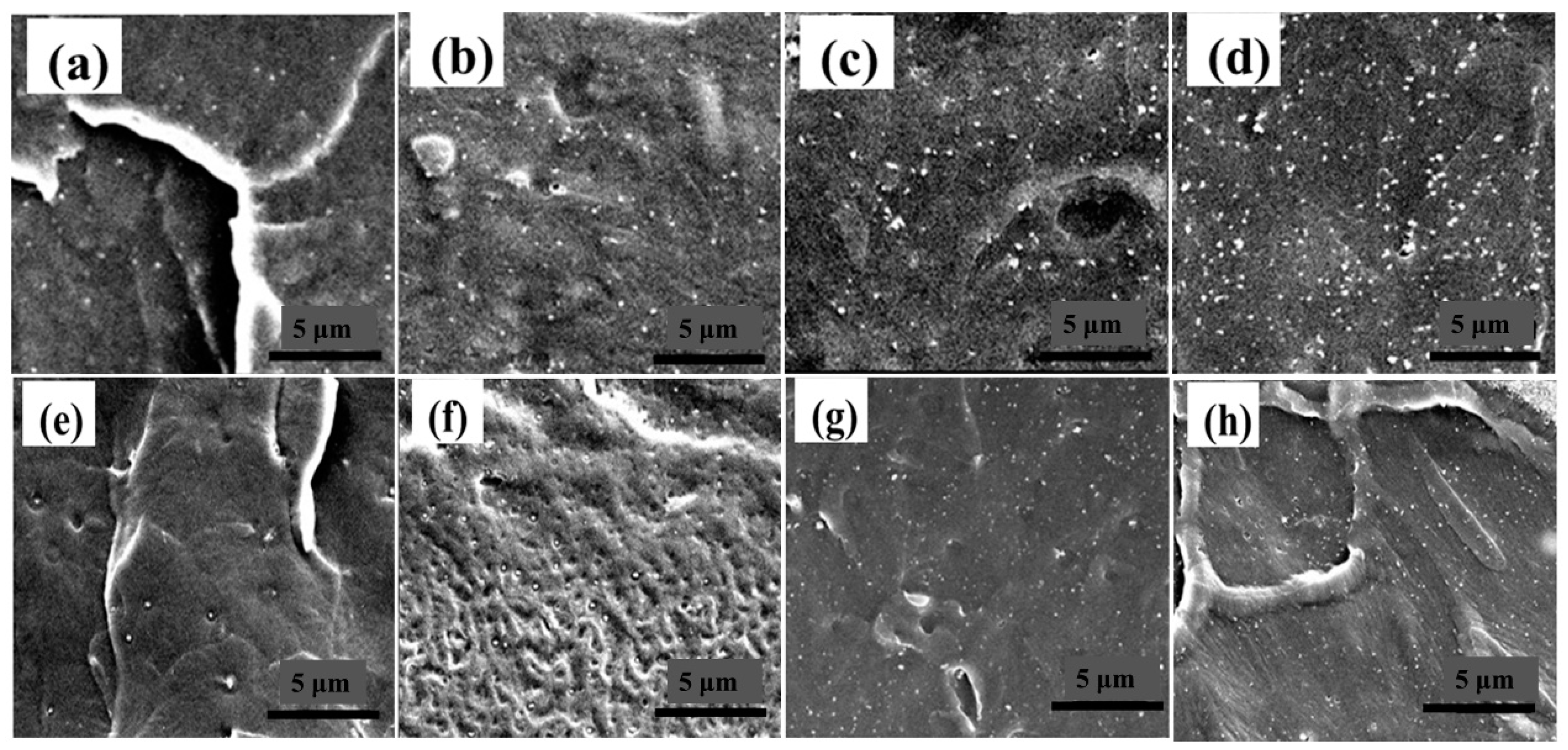 Nanomaterials 14 00985 g004
