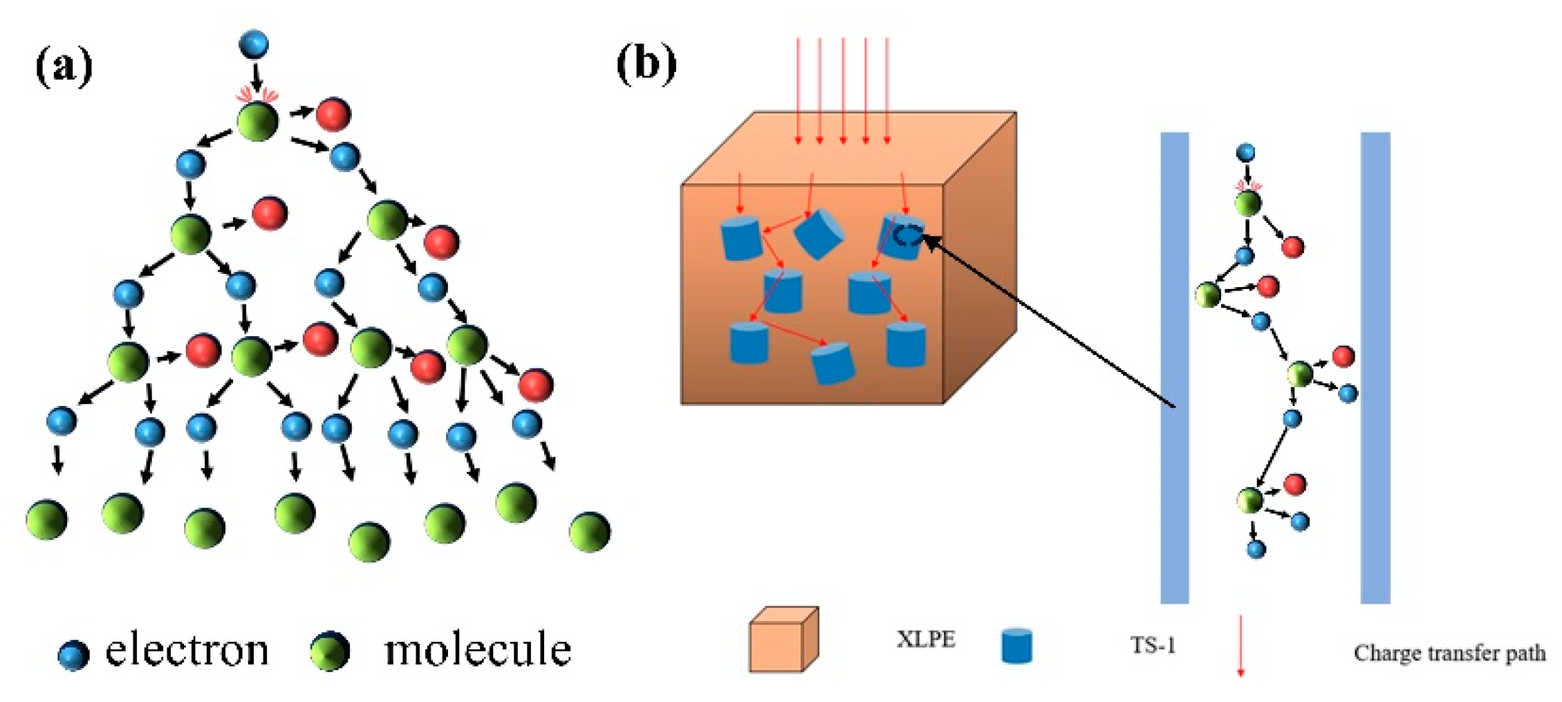 Nanomaterials 14 00985 g009