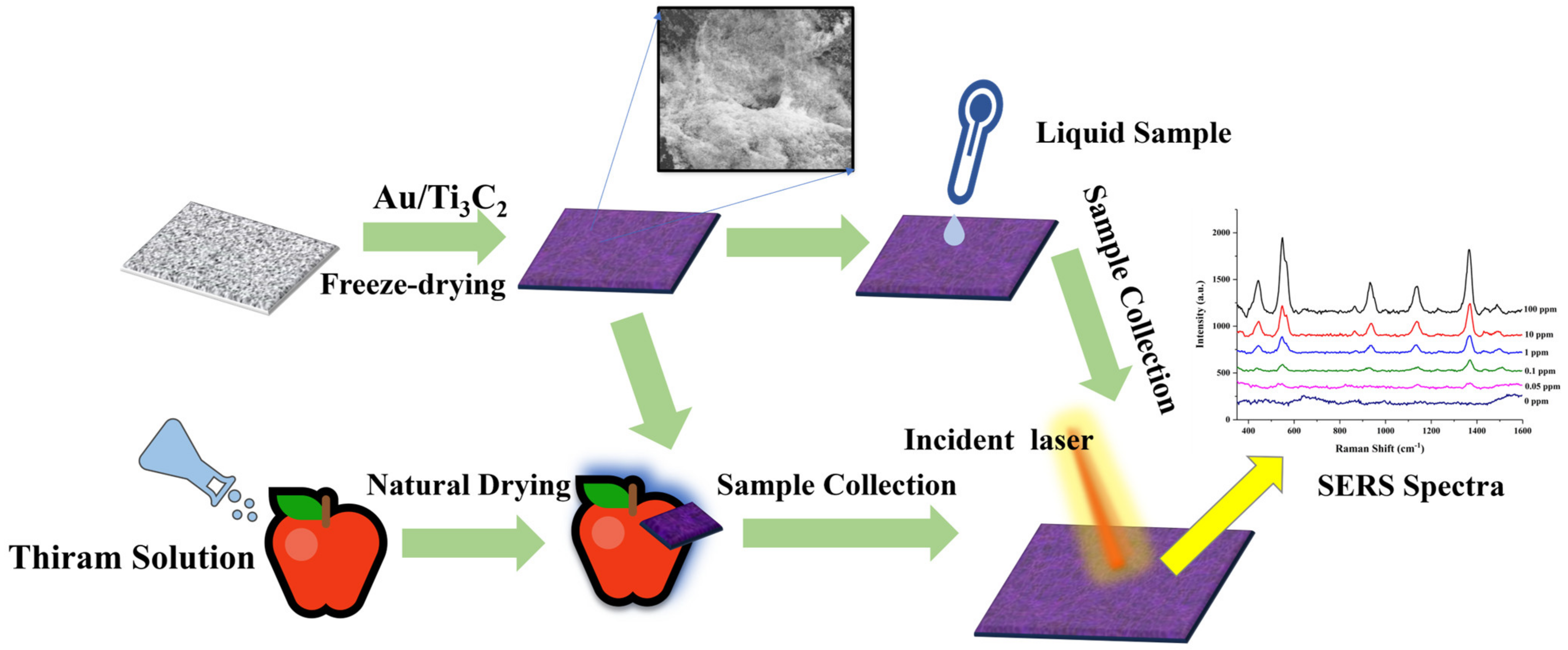Nanomaterials 14 00987 g001