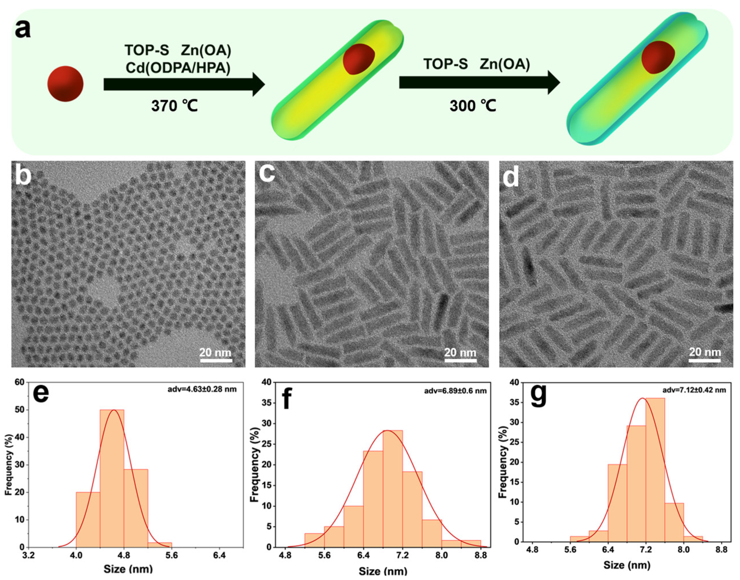 Nanomaterials 14 00989 g001