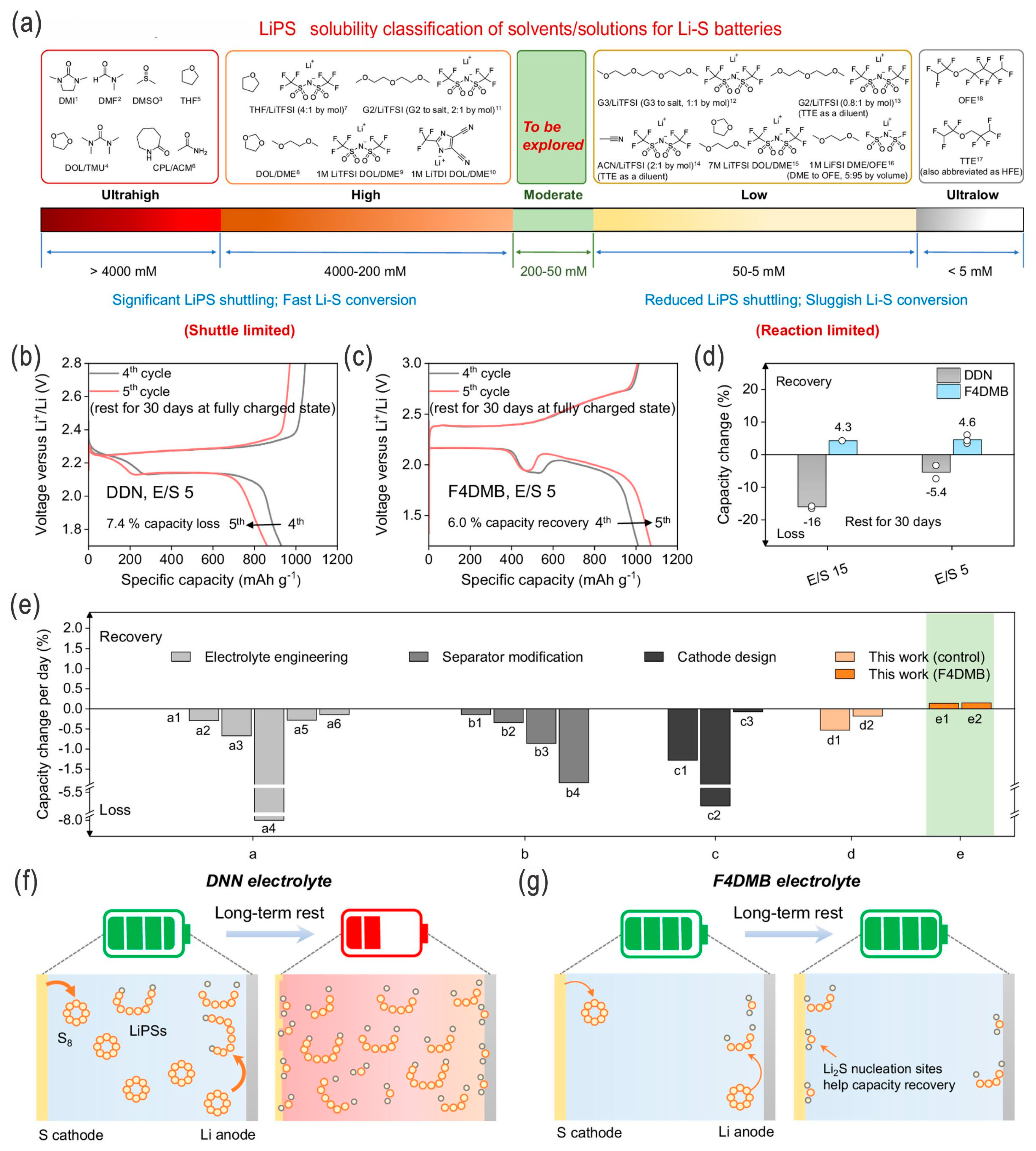 Nanomaterials 14 00990 g008