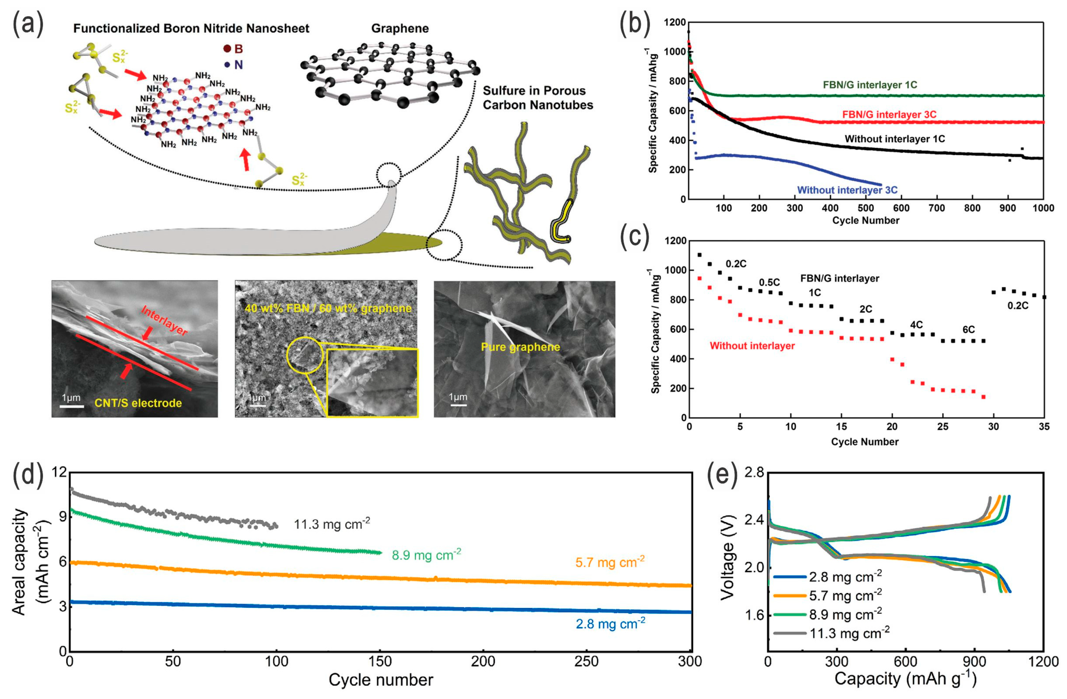 Nanomaterials 14 00990 g012