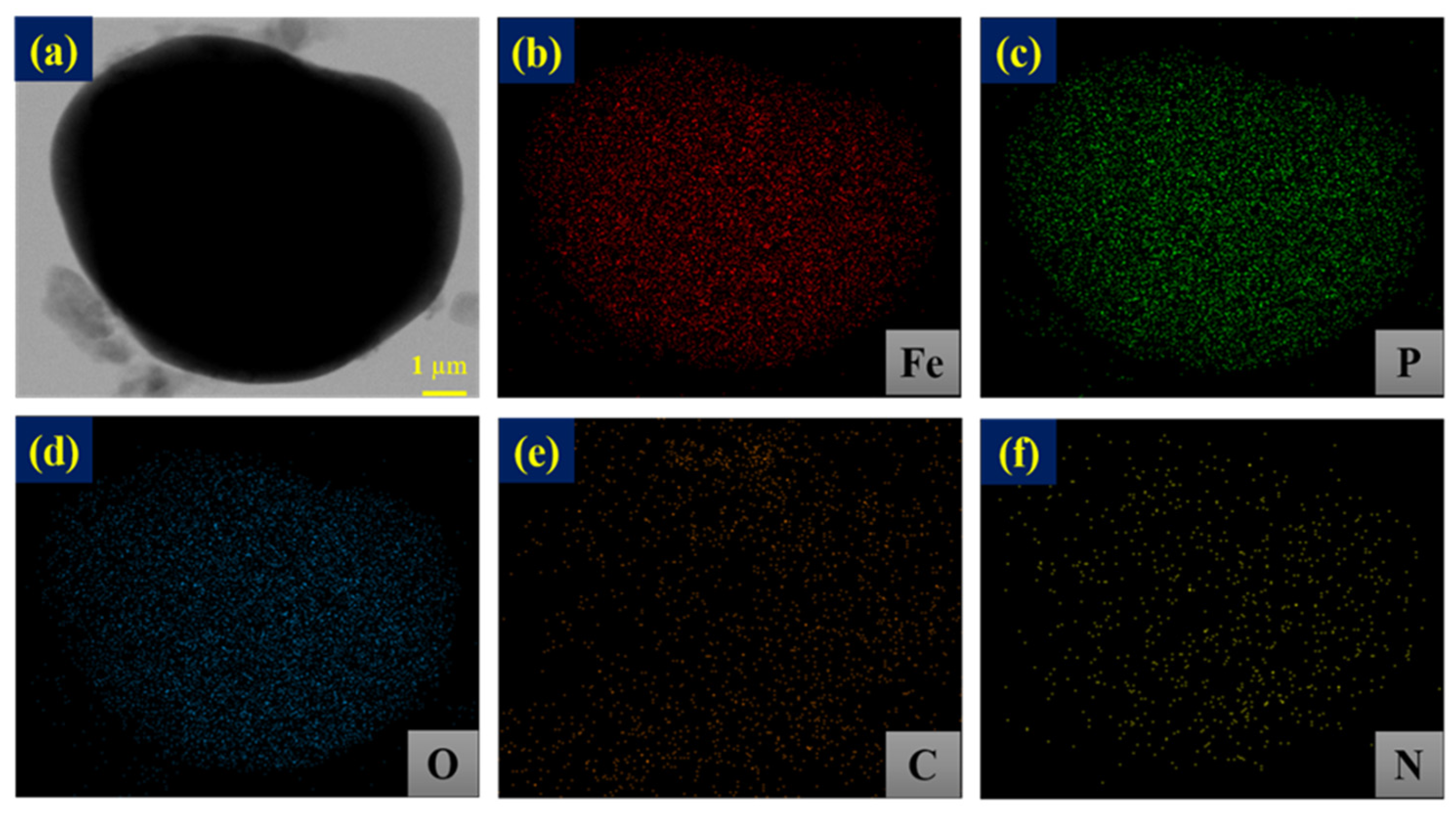 Nanomaterials 14 00999 g004