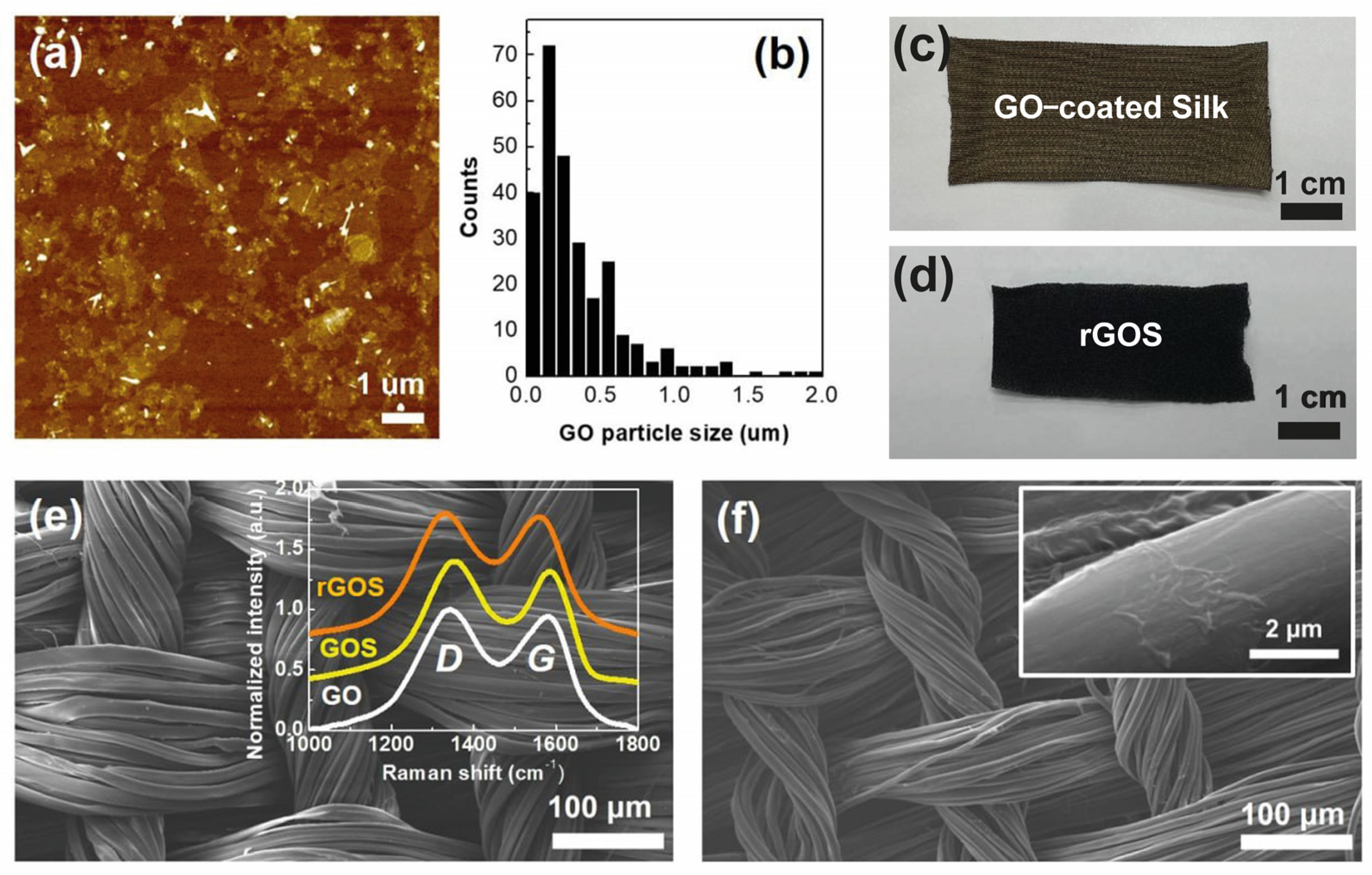 Nanomaterials 14 01000 g001