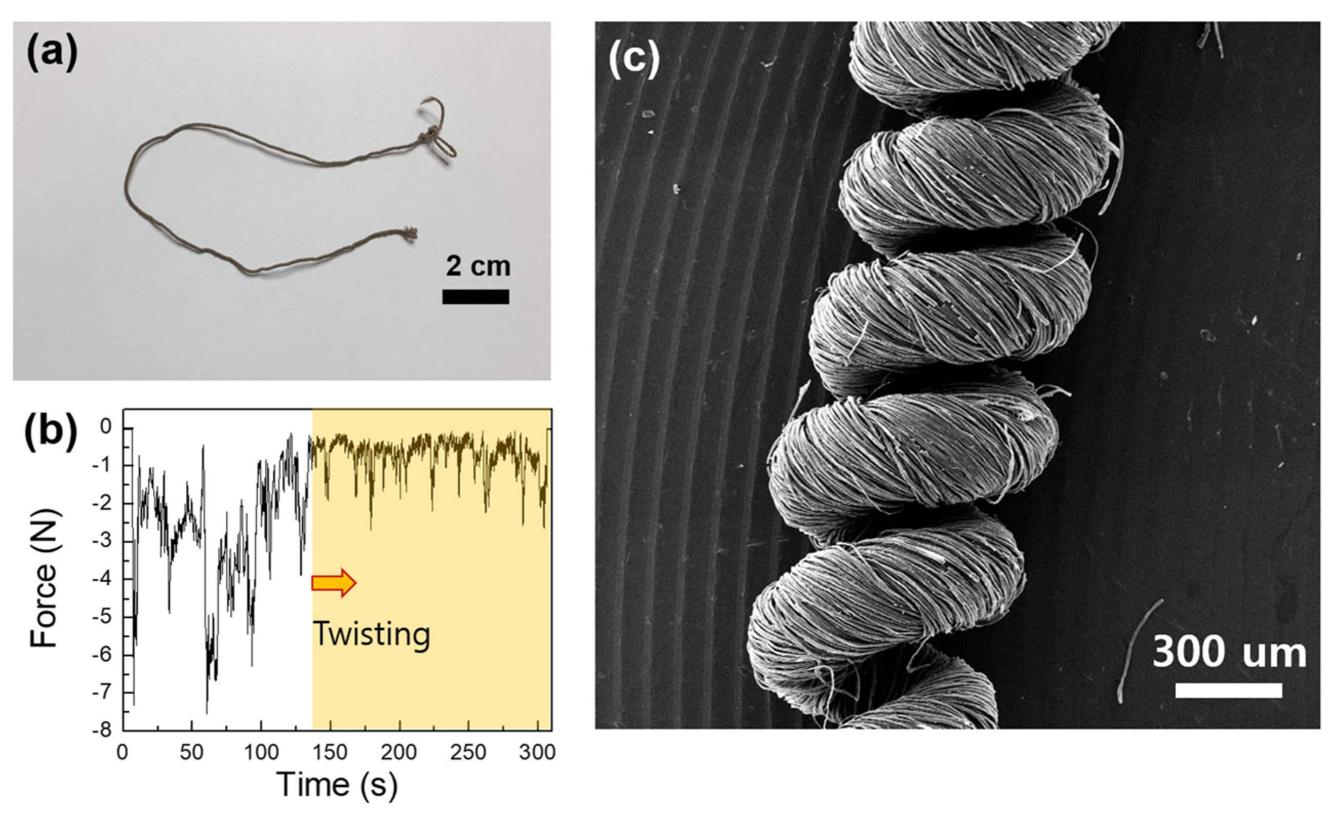 Nanomaterials 14 01000 g006