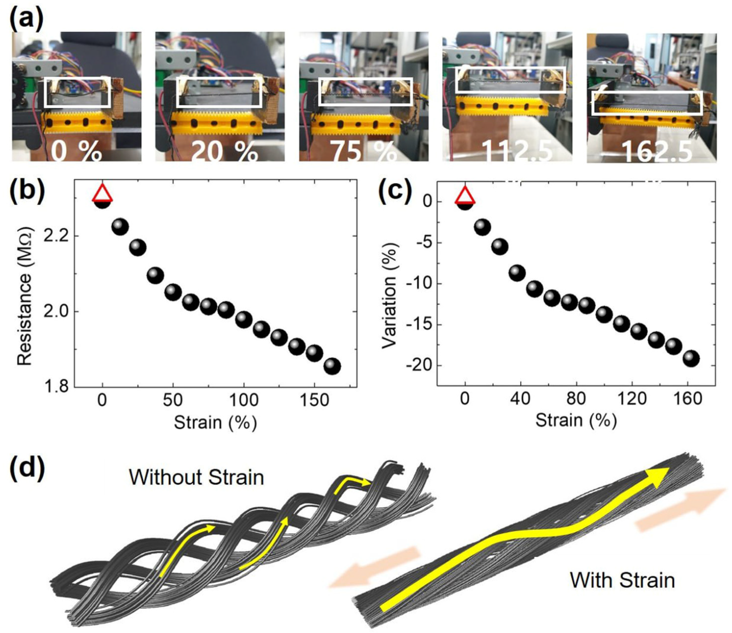 Nanomaterials 14 01000 g007