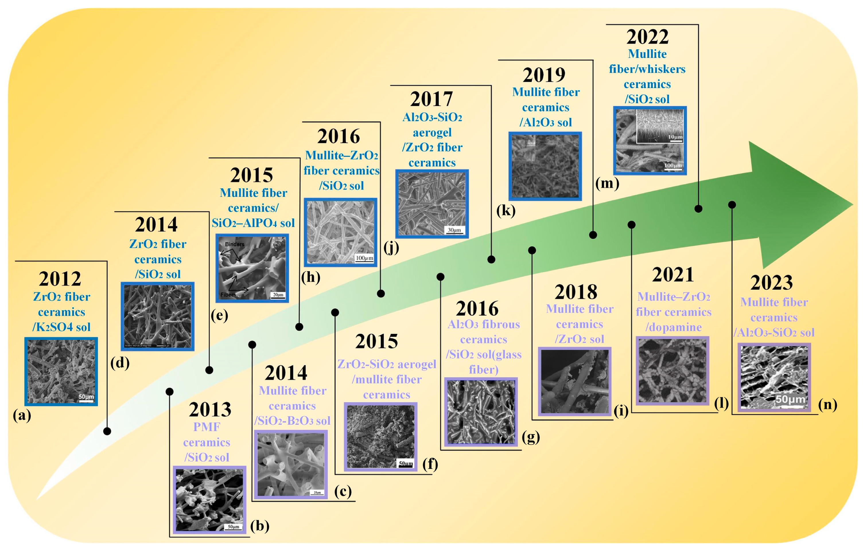 Nanomaterials 14 01003 g002