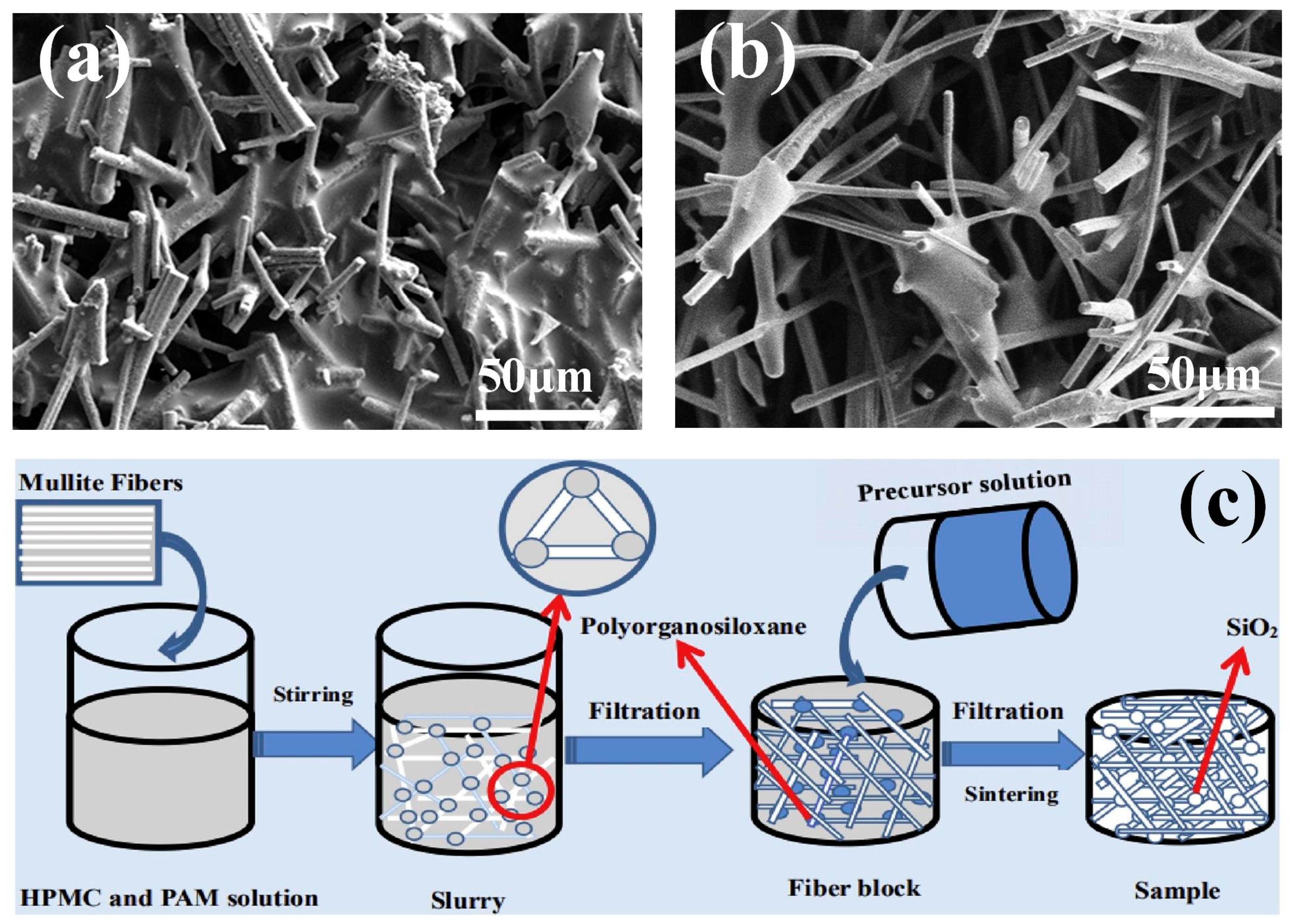 Nanomaterials 14 01003 g004