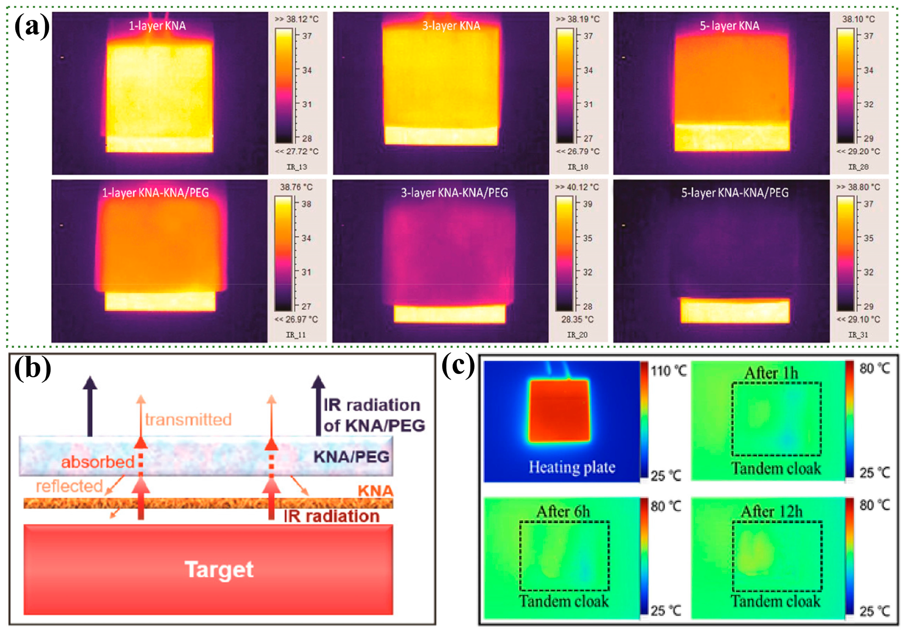 Nanomaterials 14 01003 g009