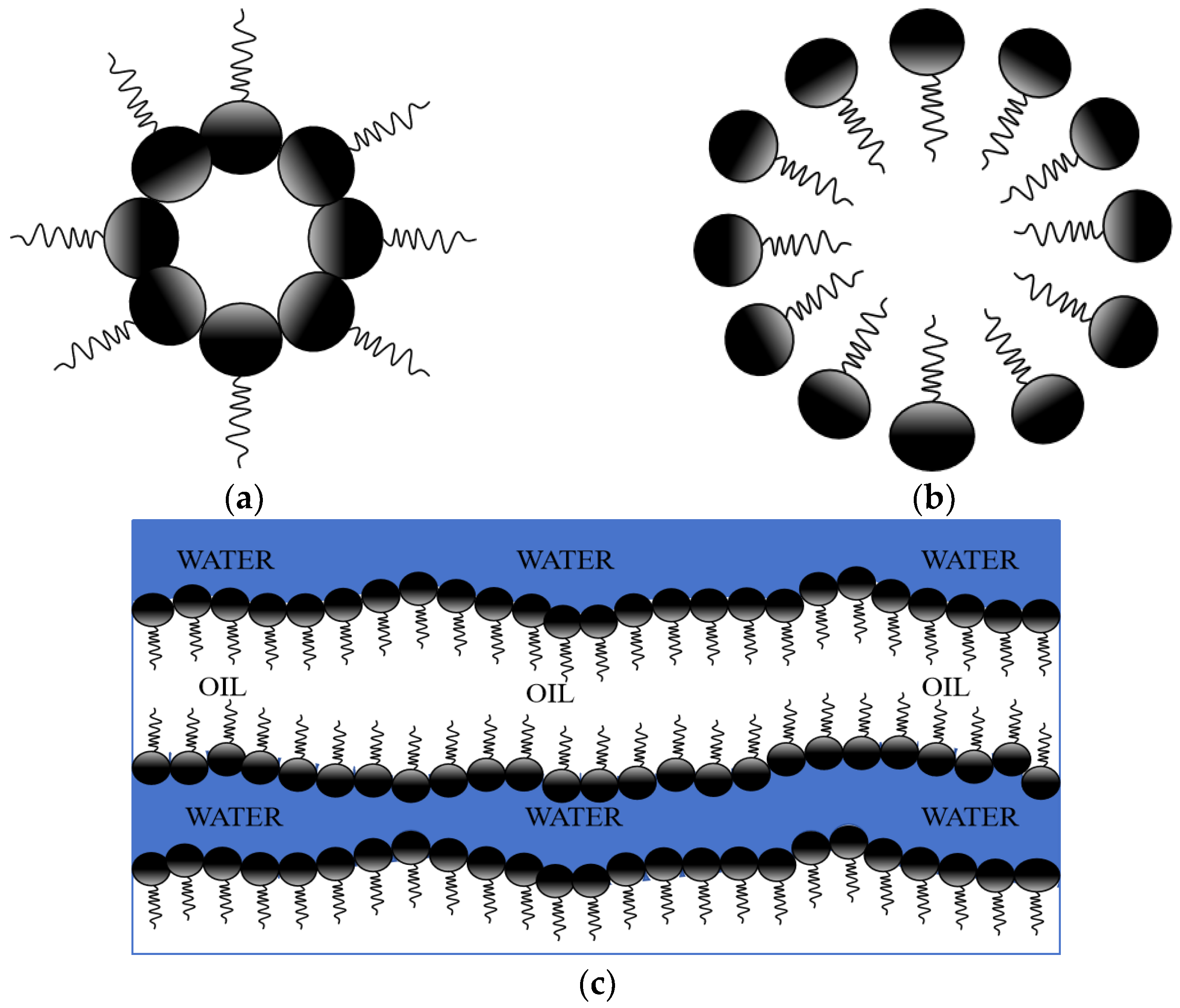 Nanomaterials 14 01004 g002 Nanomaterials 14 01004 g002