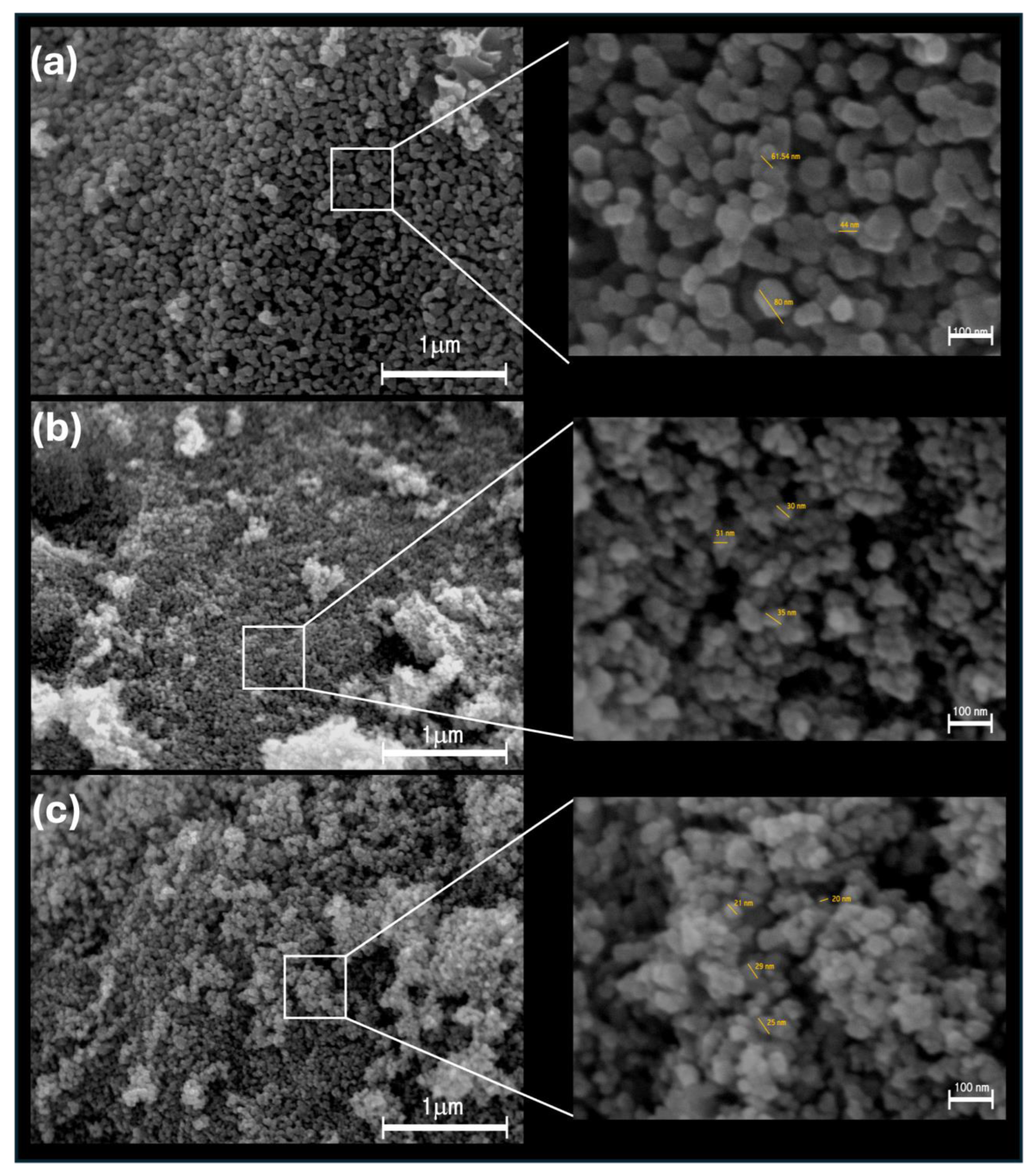 Nanomaterials 14 01007 g004