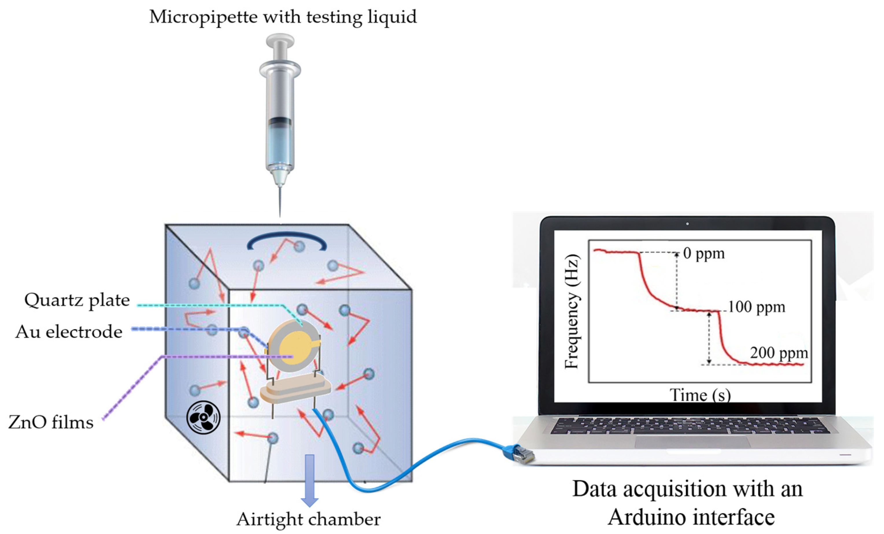 Nanomaterials 14 01008 g002