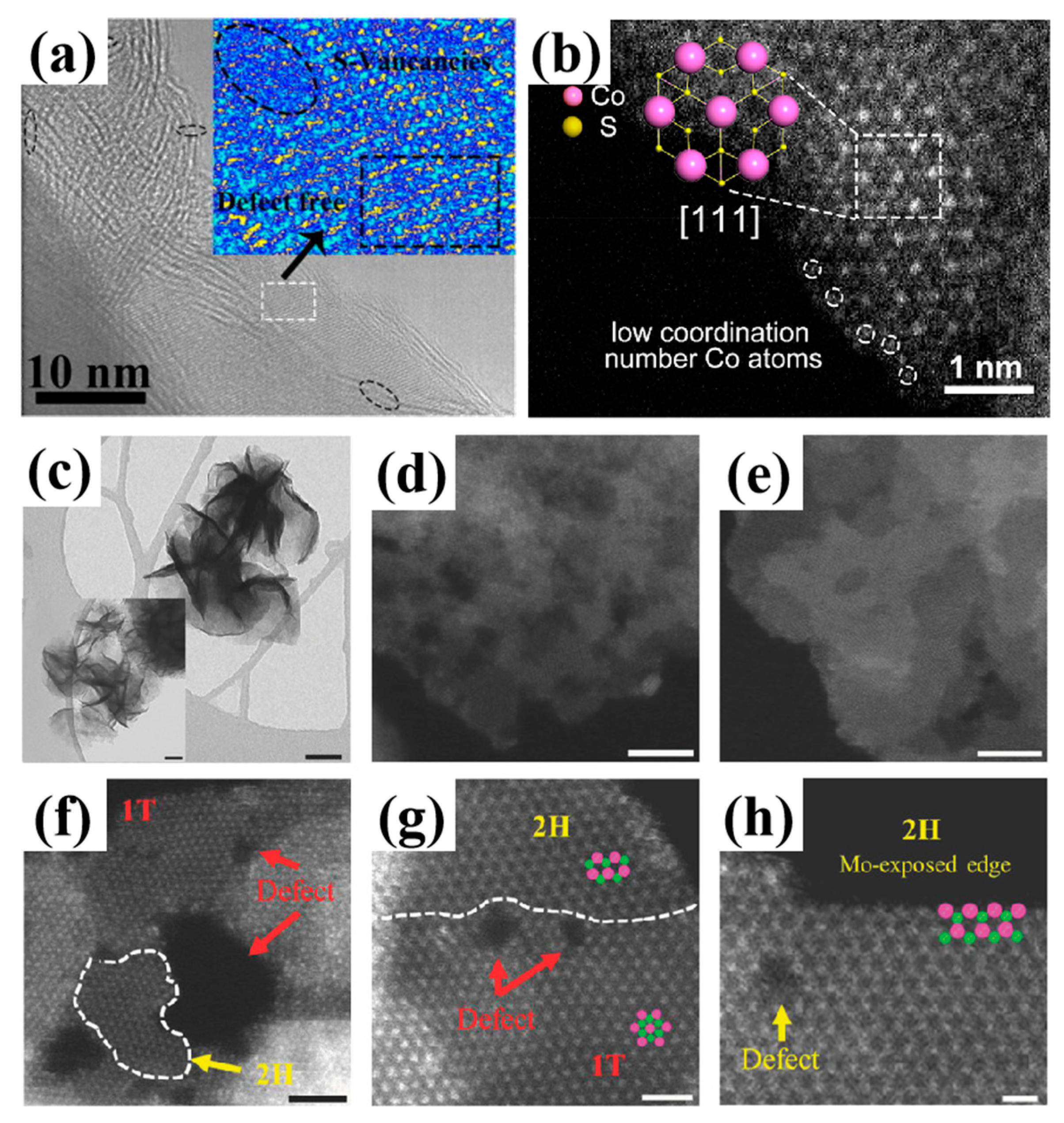 Nanomaterials 14 01009 g002