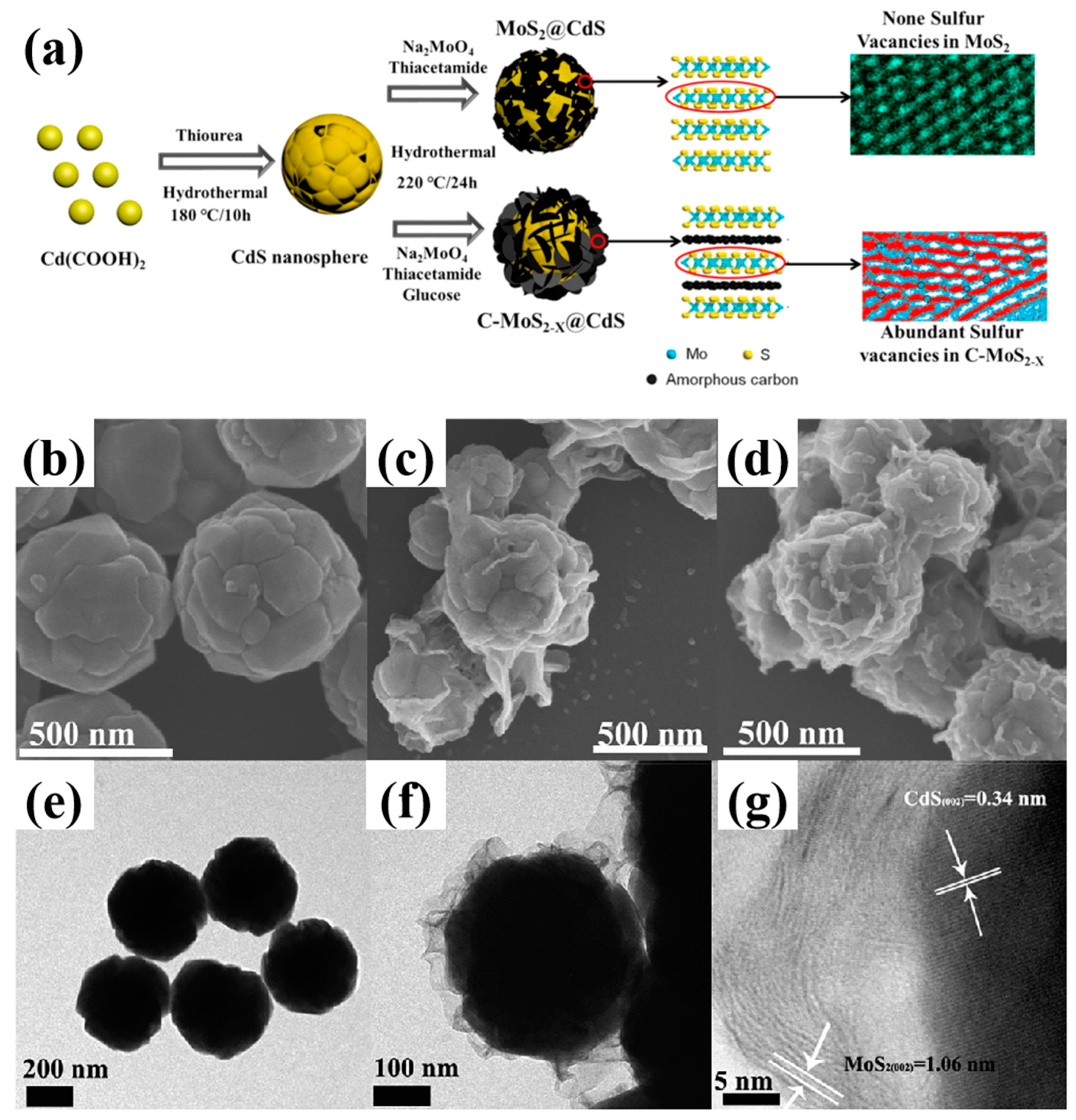 Nanomaterials 14 01009 g006