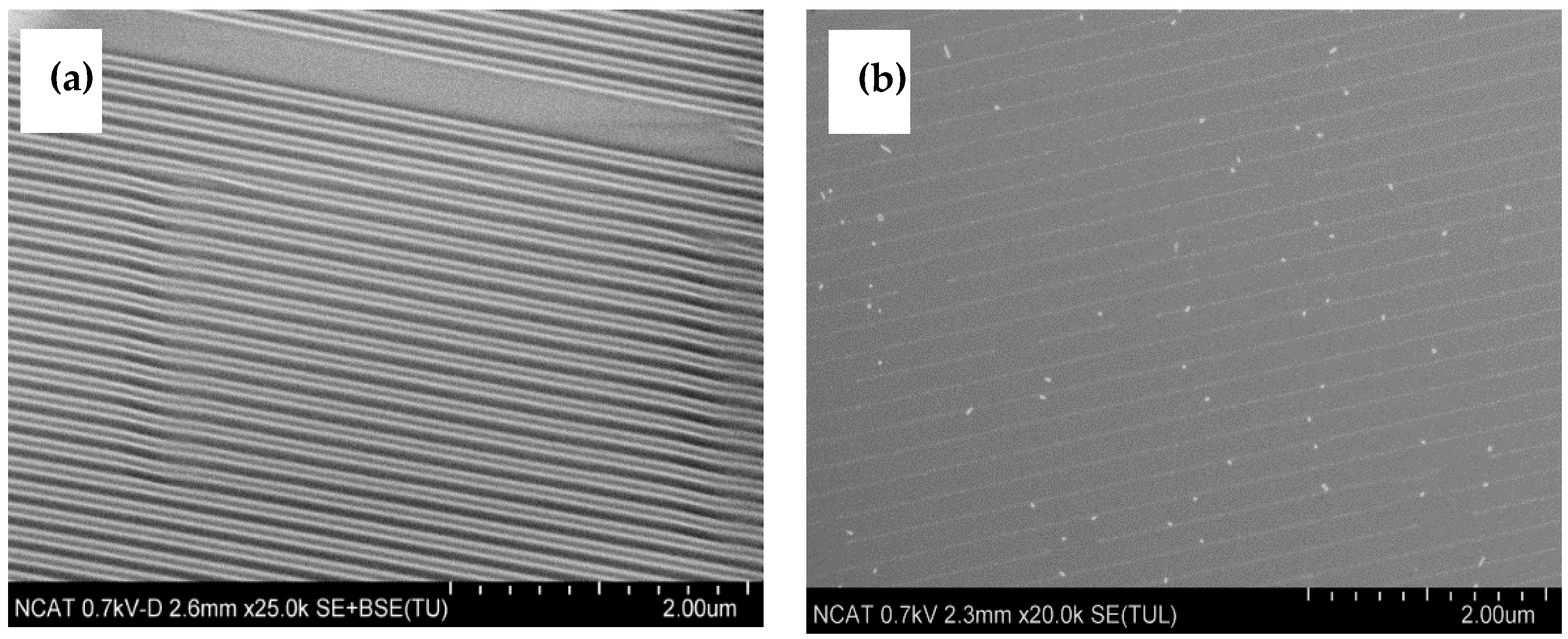 Nanomaterials 14 01011 g003