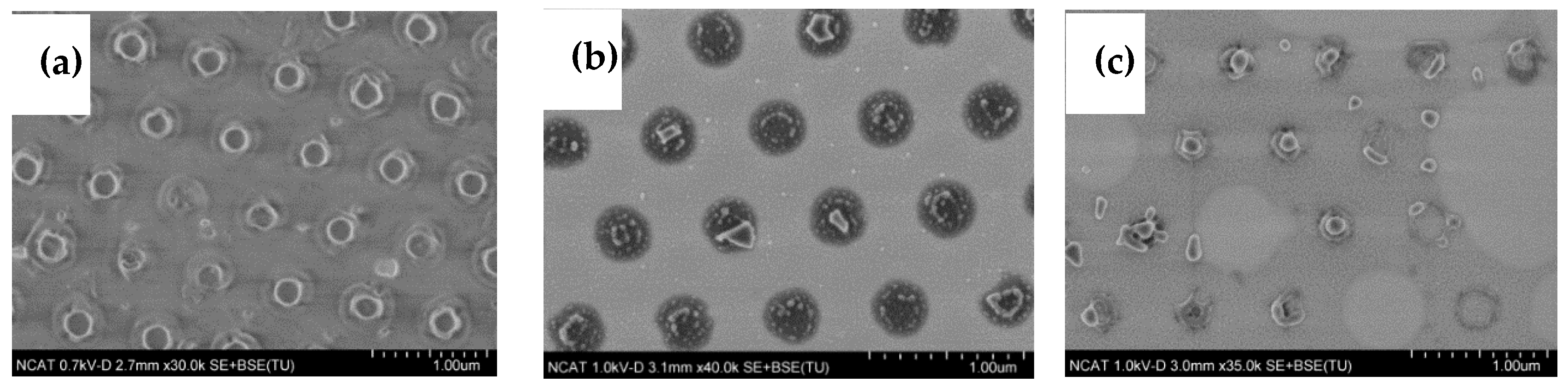 Nanomaterials 14 01011 g010