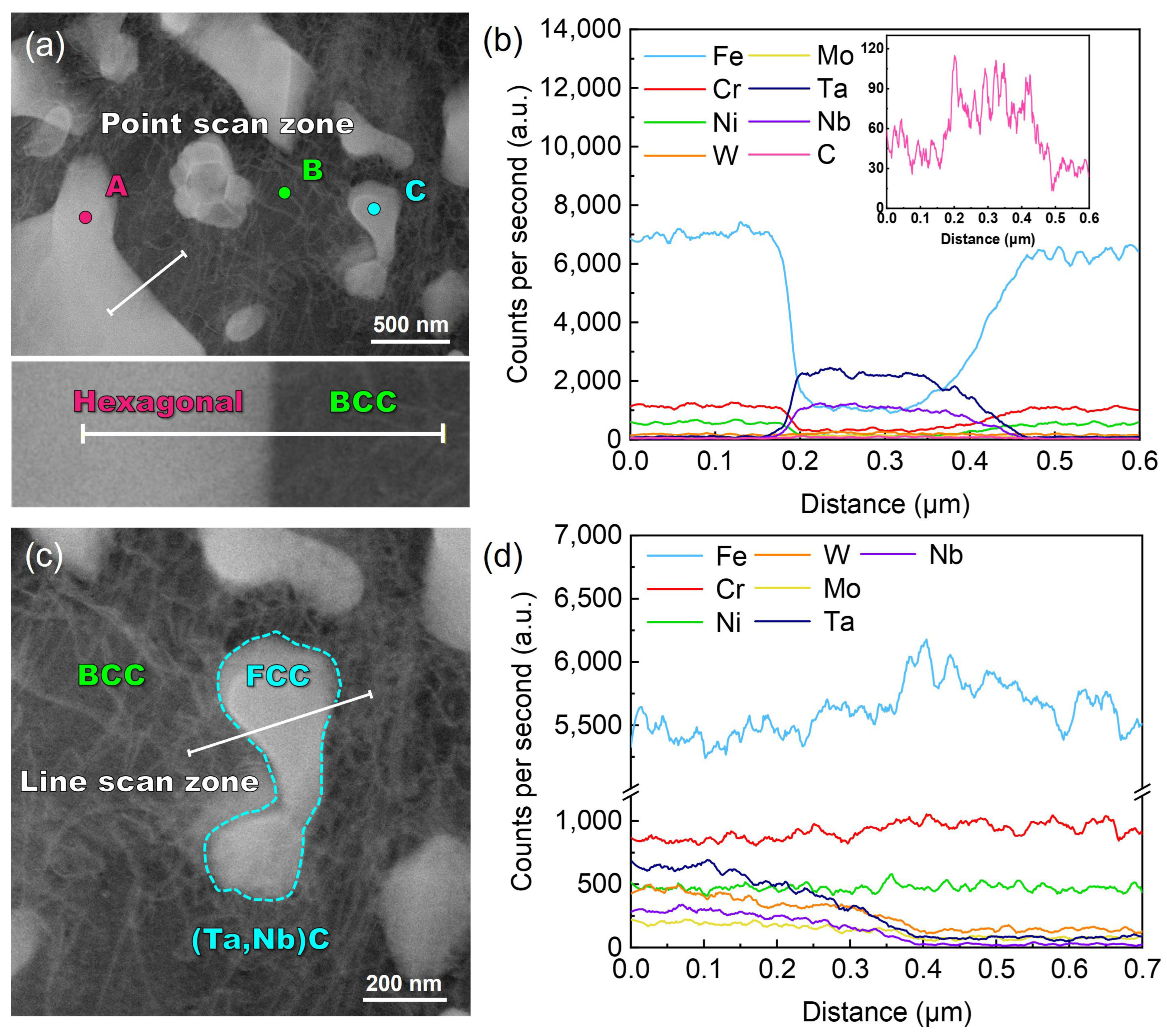 Nanomaterials 14 01016 g005